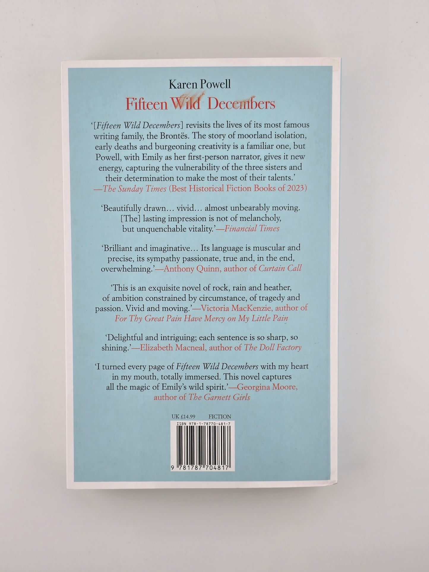 Fifteen Wild Decembers by Karen Powell
