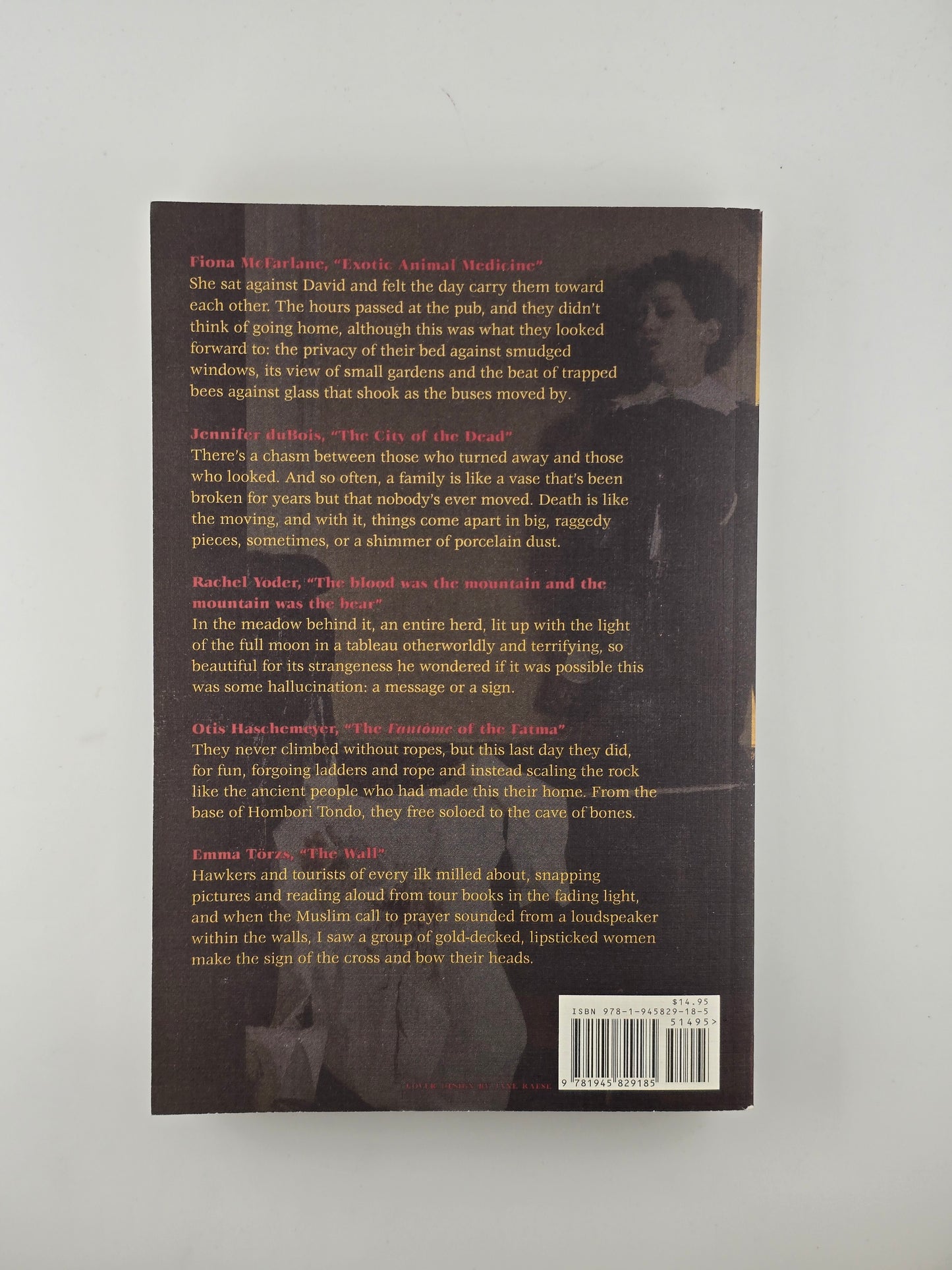 Trouble in Mind: The Short Story and Conflict ed. by Kristine Somerville and Speer Morgan