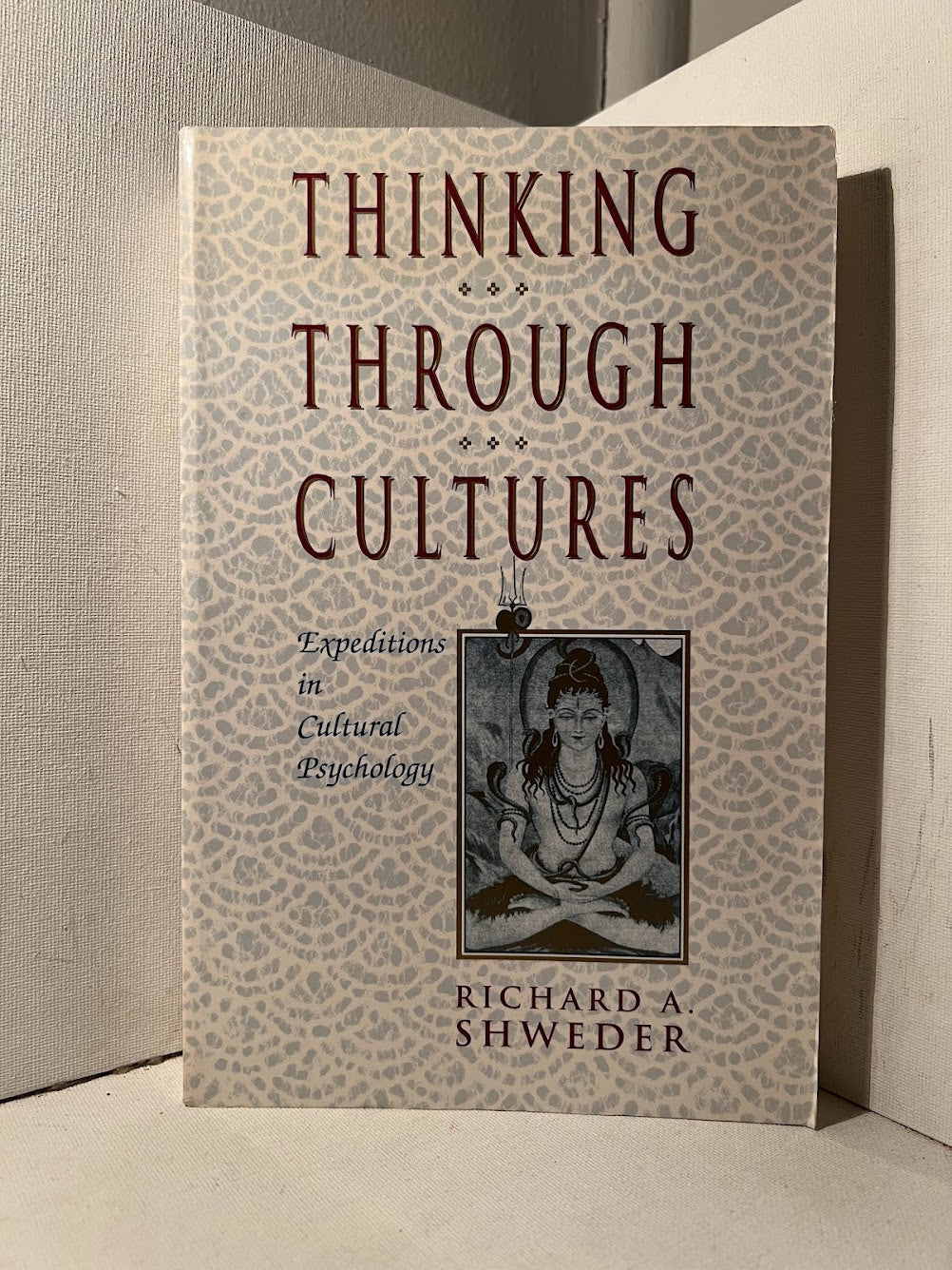 Thinking Through Cultures by Richard A. Shweder