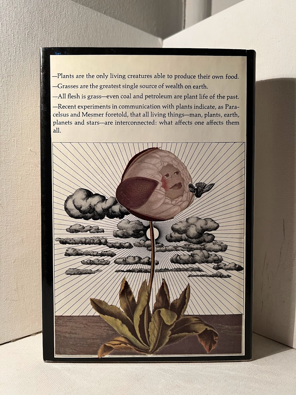 The Secret Life of Plants by Peter Tompkins