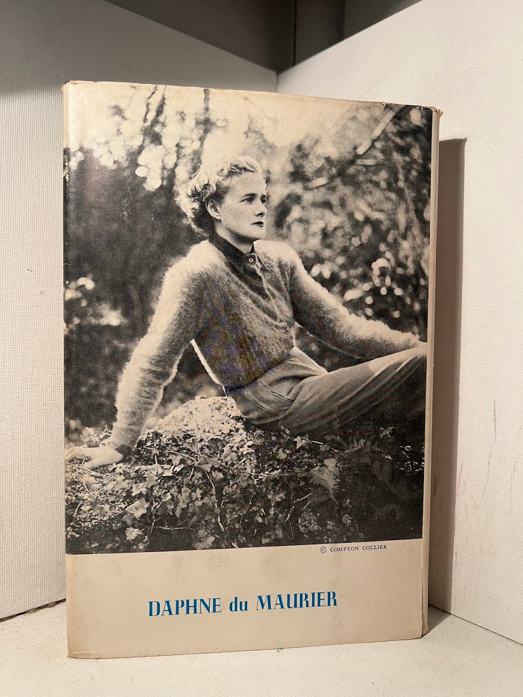 The Scapegoat by Daphne du Maurier