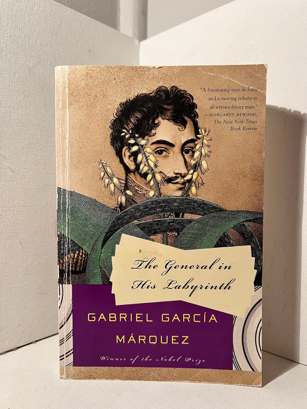The General in His Labyrinth by Gabriel Garcia Marquez