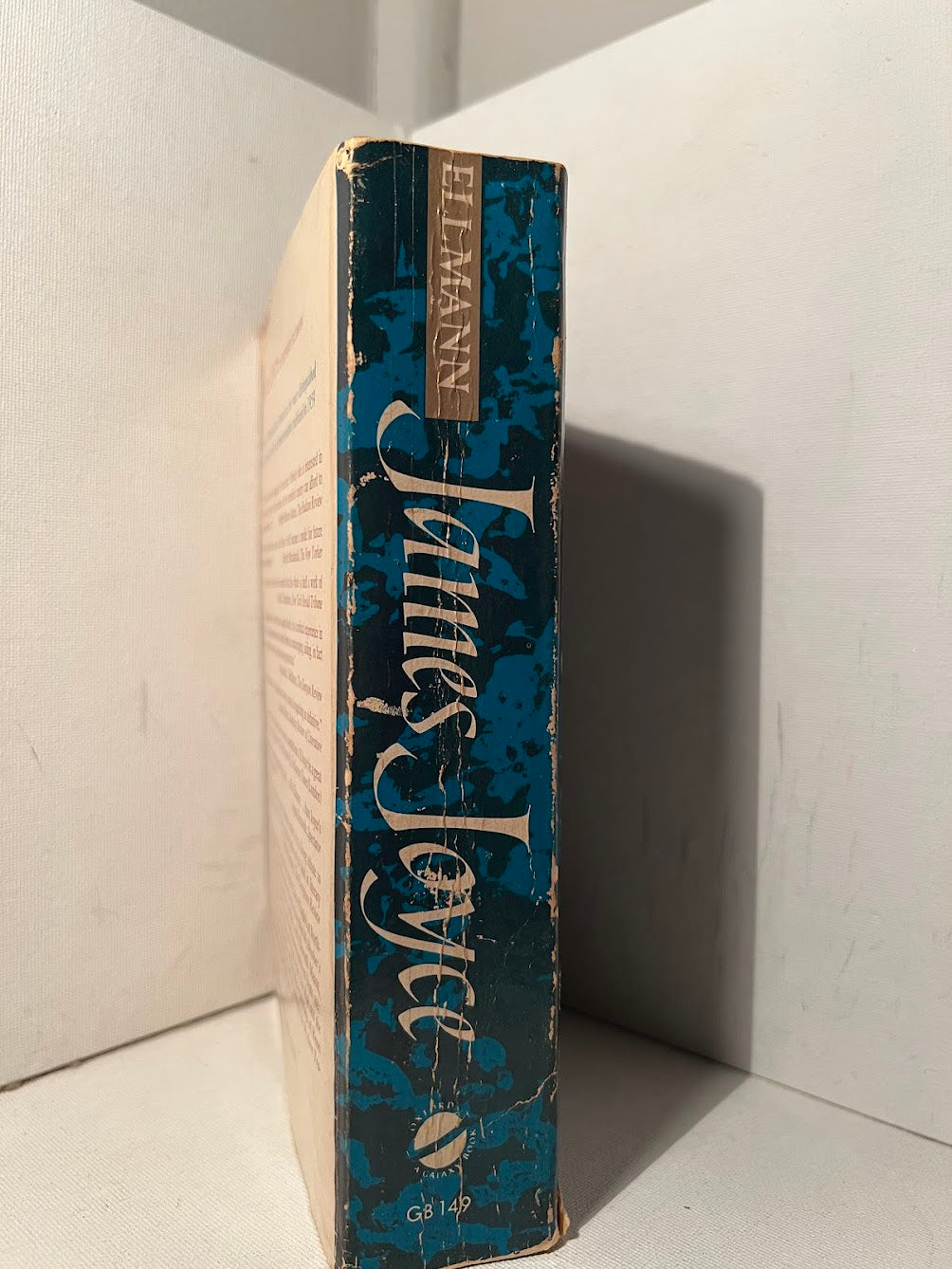 James Joyce by Richard Ellman