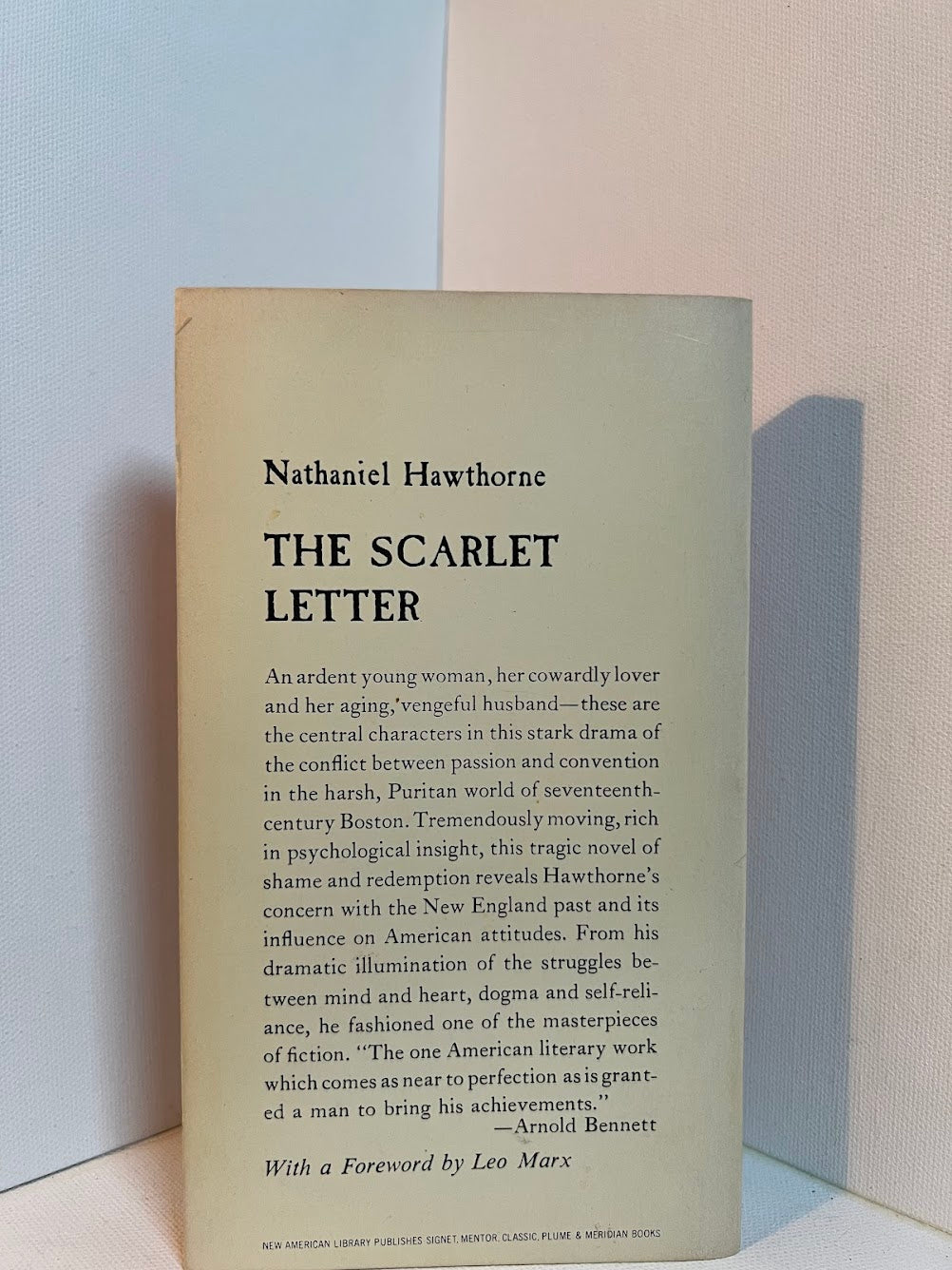 The Scarlet Letter by Nathaniel Hawthorne