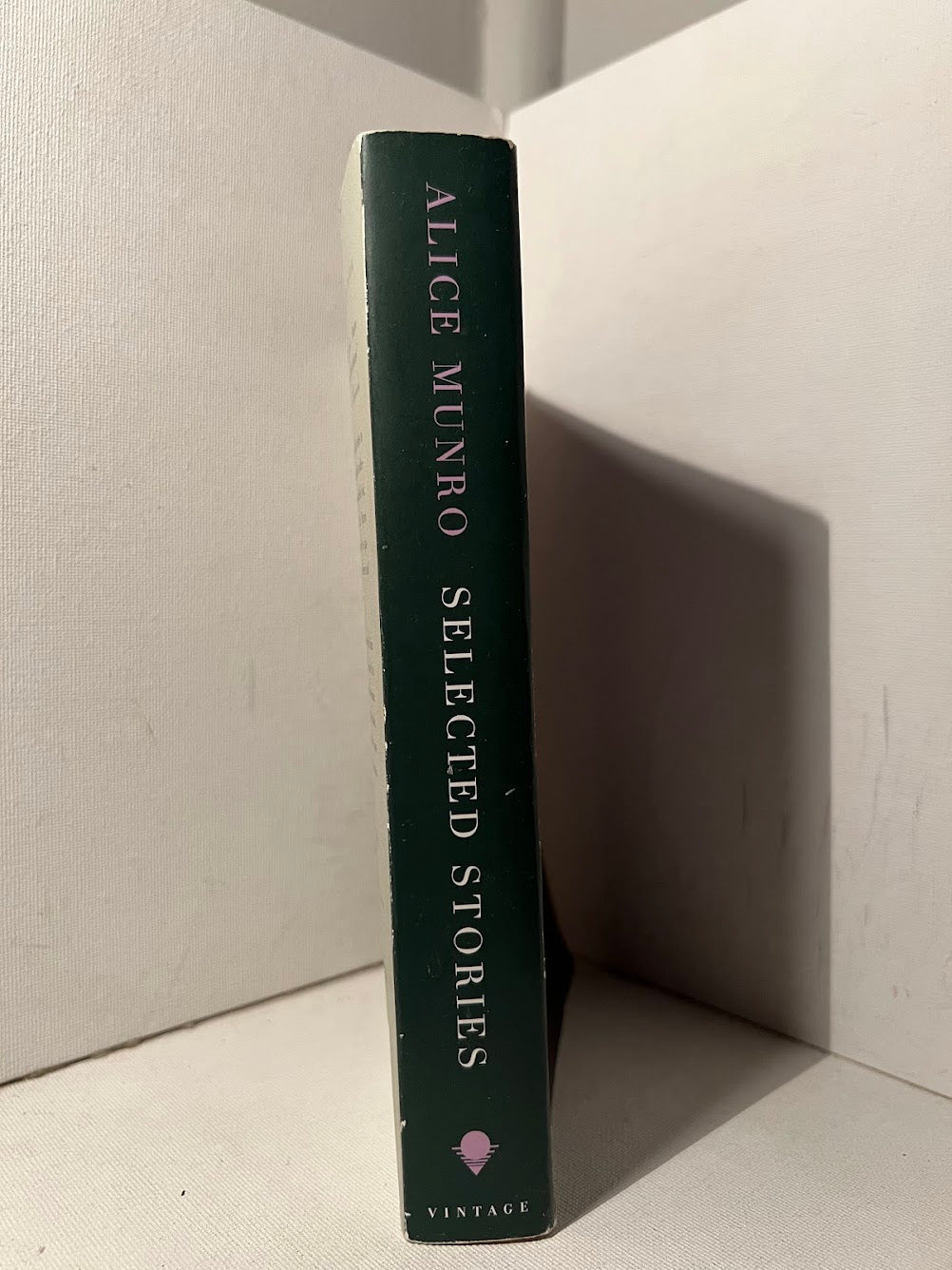 Selected Stories by Alice Munro