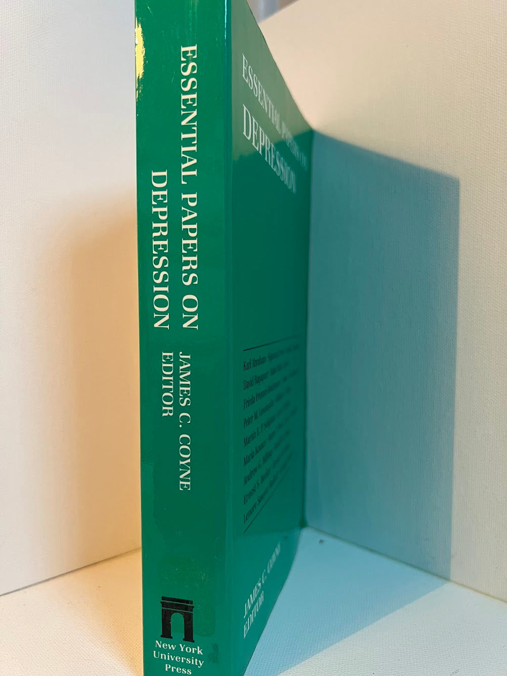 Essential Papers on Depression edited by James C. Coyne