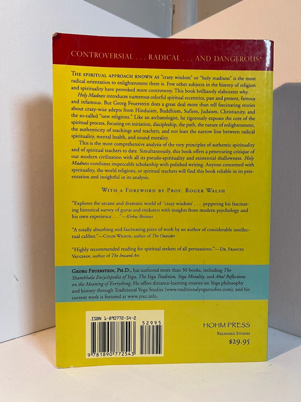 Holy Madness by Georg Feuerstein