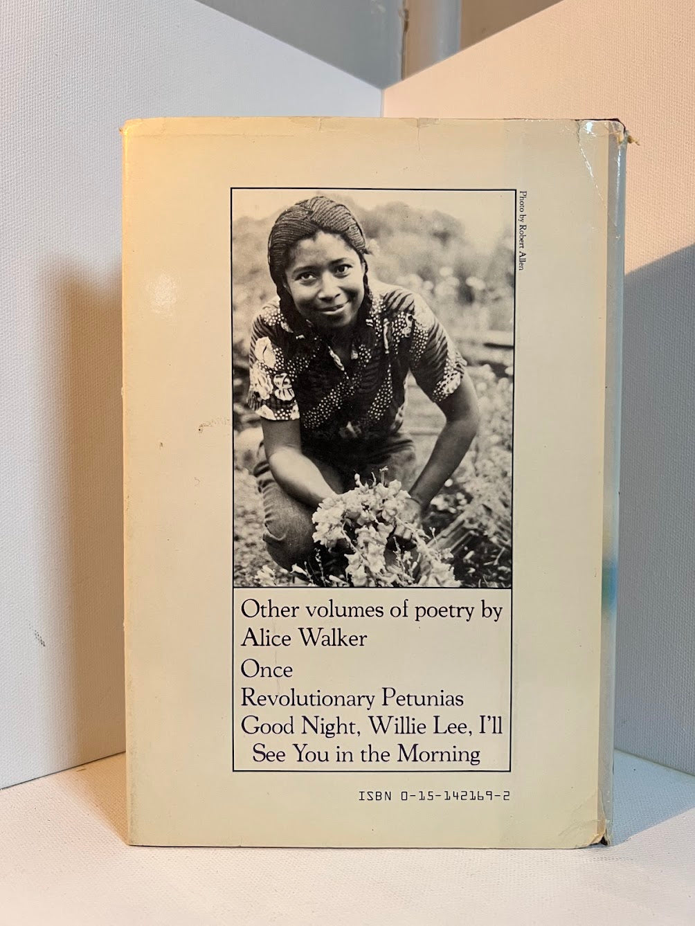 Horses Make a Landscape Look More Beautiful by Alice Walker