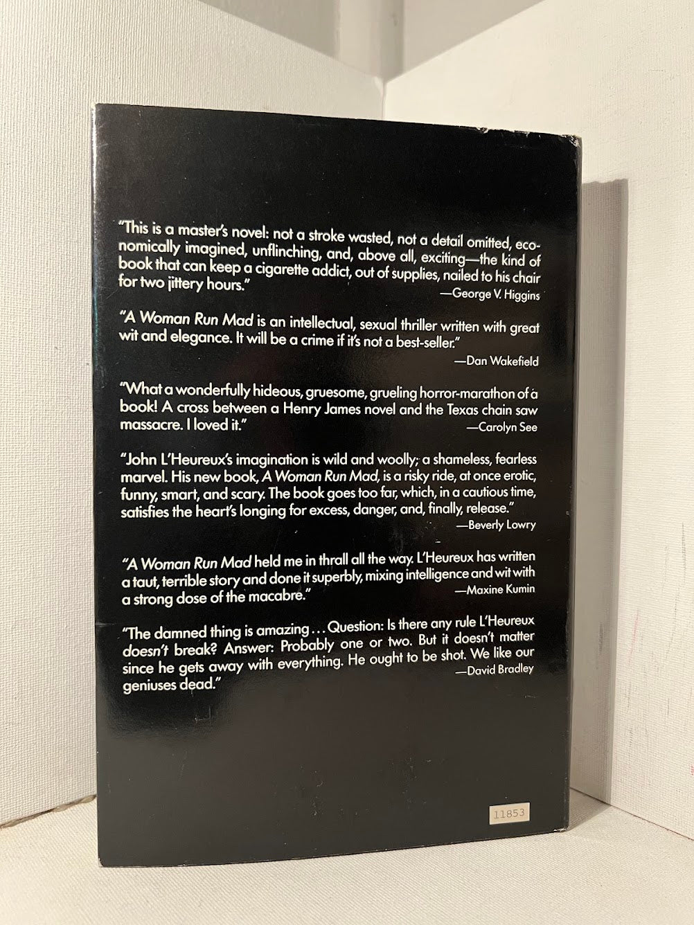 A Woman Run Mad by John L'Heureux