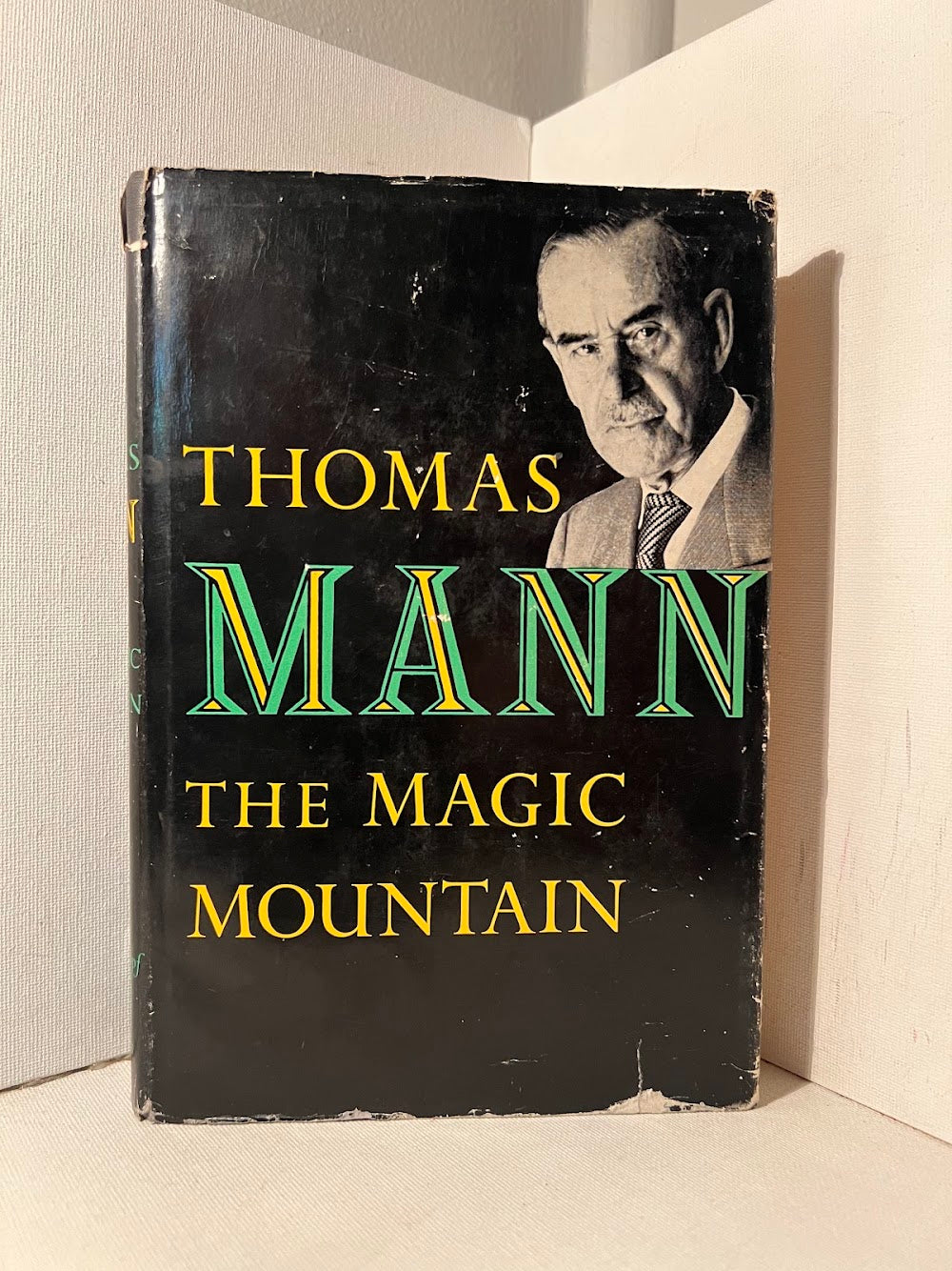 The Magic Mountain by Thomas Mann