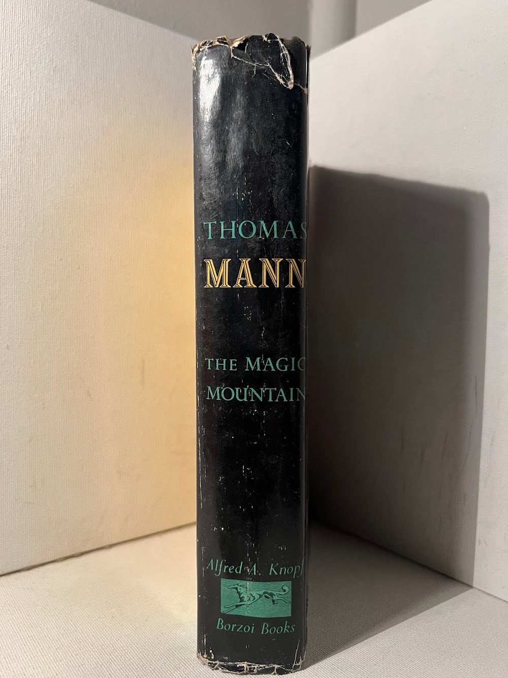 The Magic Mountain by Thomas Mann