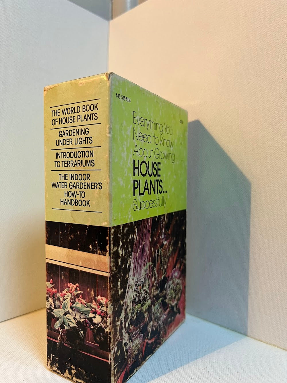 House Plants Box Set