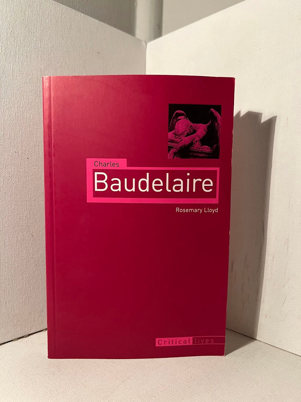Charles Baudelaire by Rosemary Lloyd