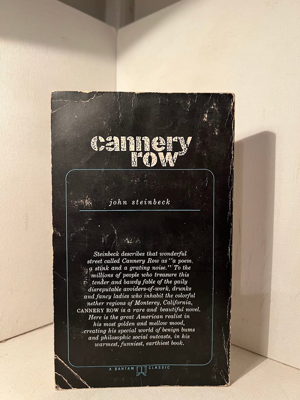 Cannery Row by John Steinbeck