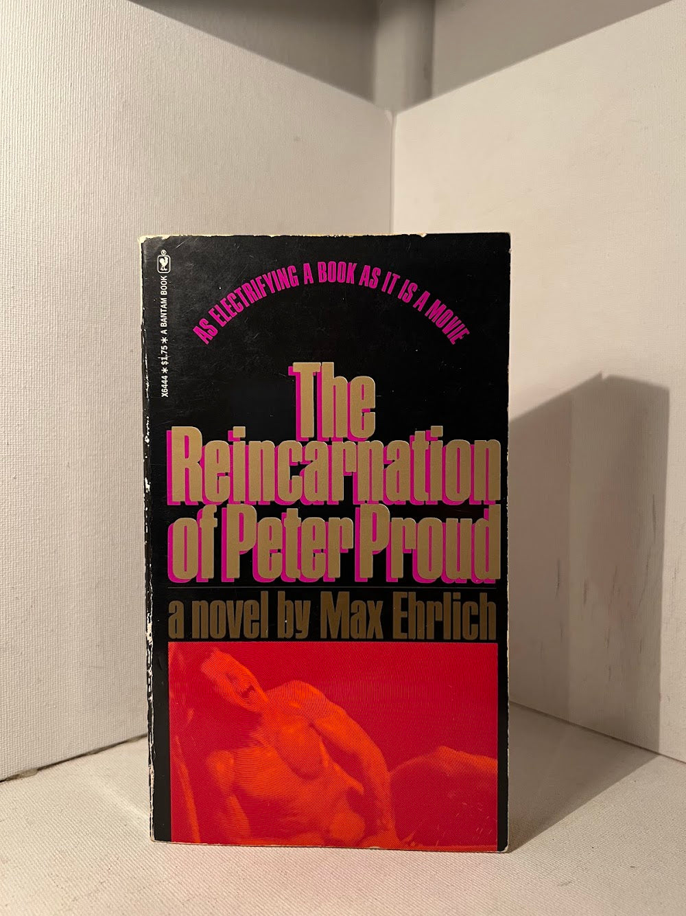 The Reincarnation of Peter Proud by Max Ehrlich