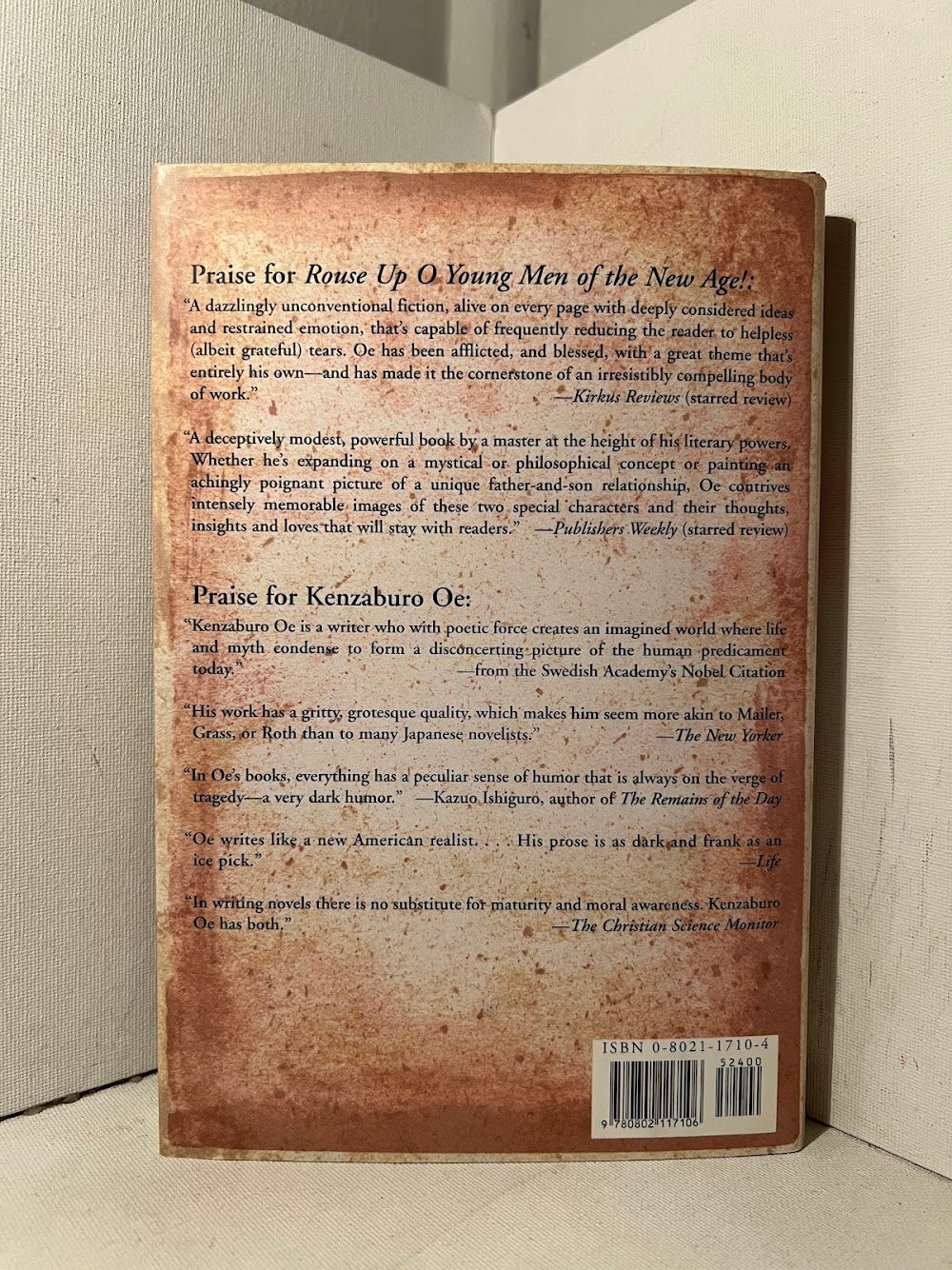 Rouse Up O Young Men of the New Age! by Kenzaburo Oe