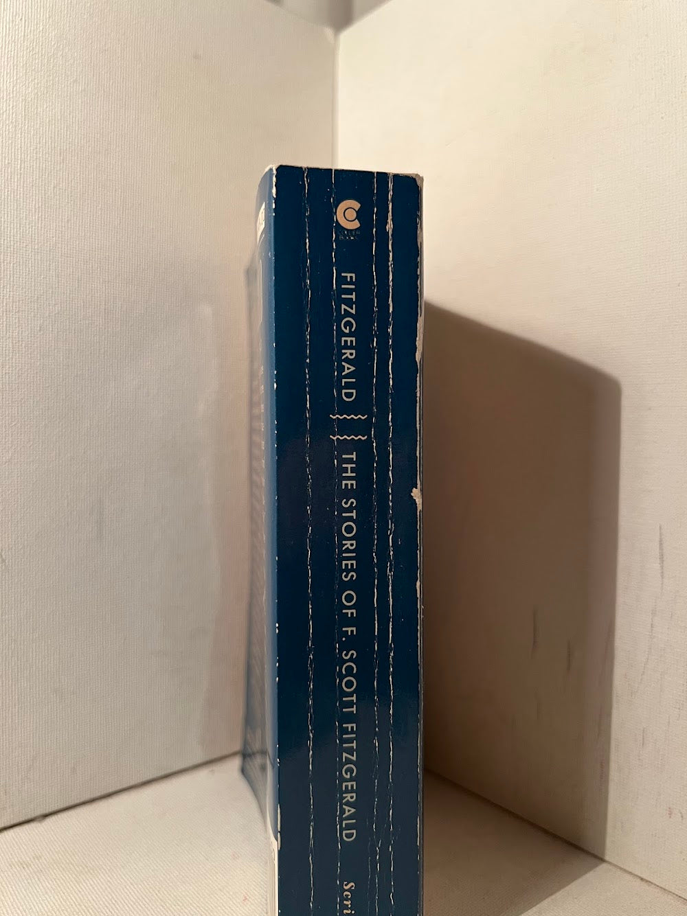 The Stories of F. Scott Fitzgerald