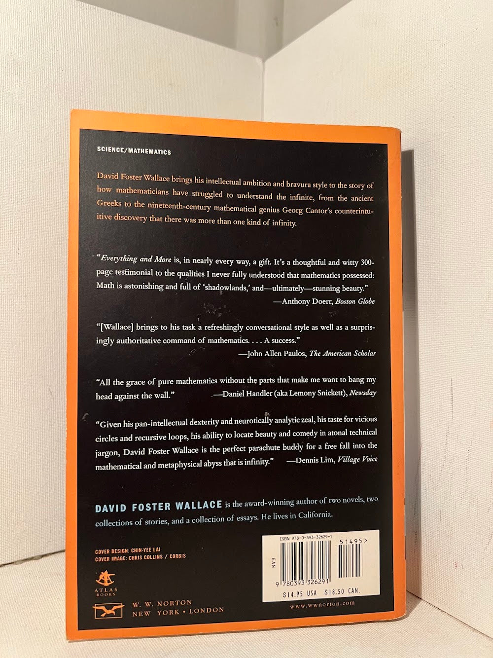 Everything and More: A Compact History of Infinity by David Foster Wallace