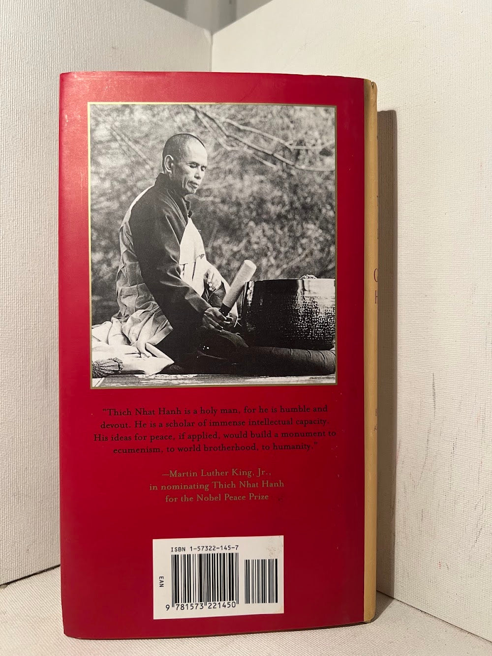 Going Home by Thich Nhat Hahn