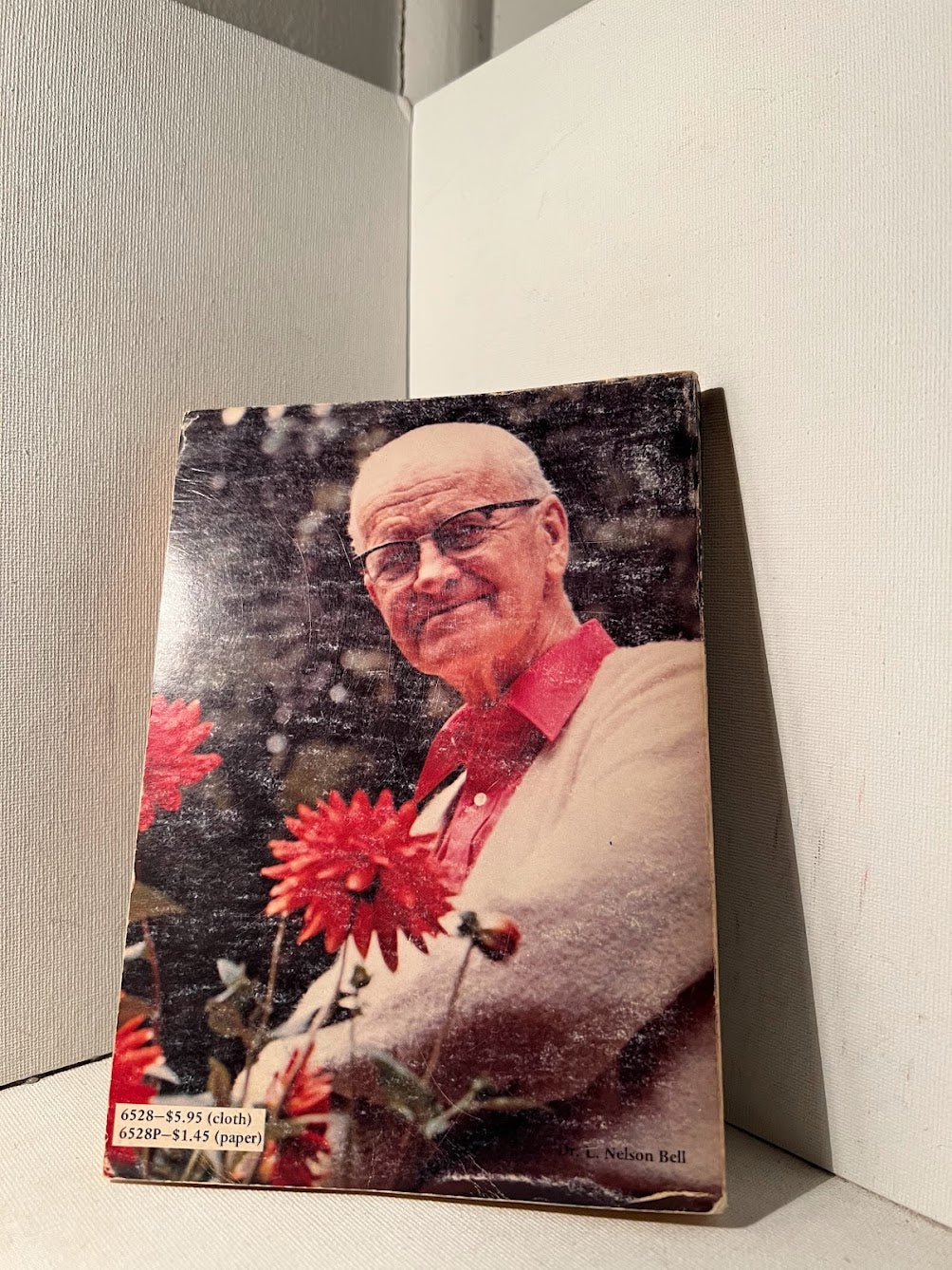 A Foreign Devil in China by John C. Pollock