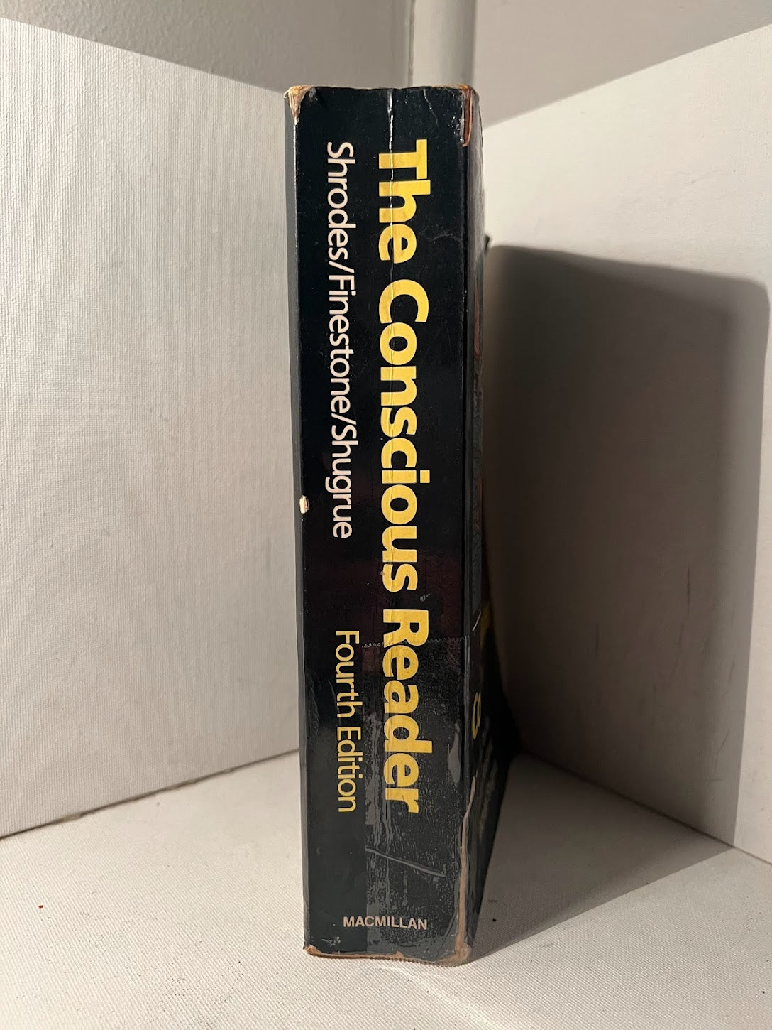 The Conscious Reader