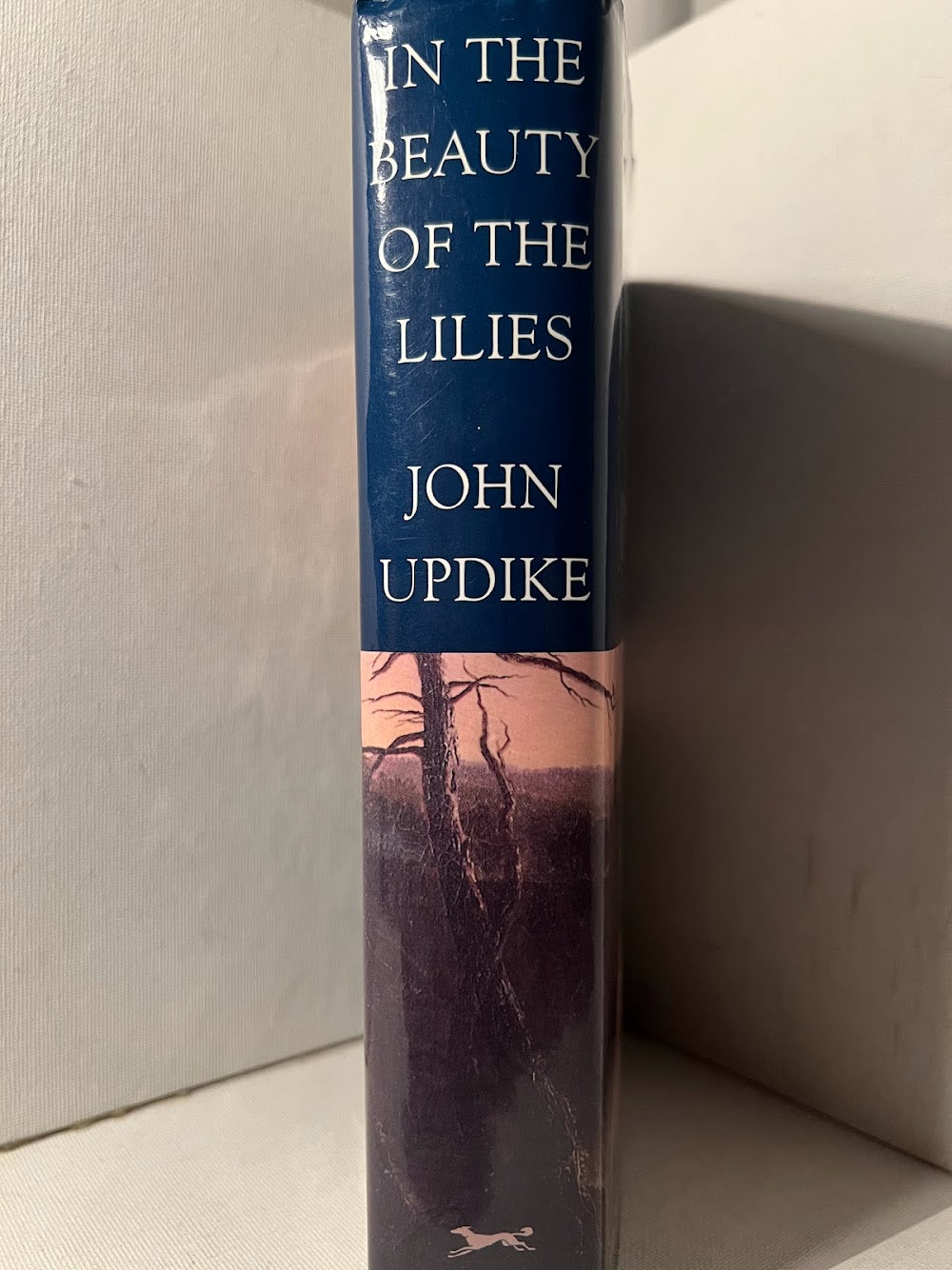 In the Beauty of the Lilies by John Updike