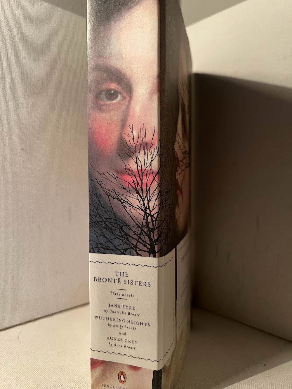 The Bronte Sisters (three novels)
