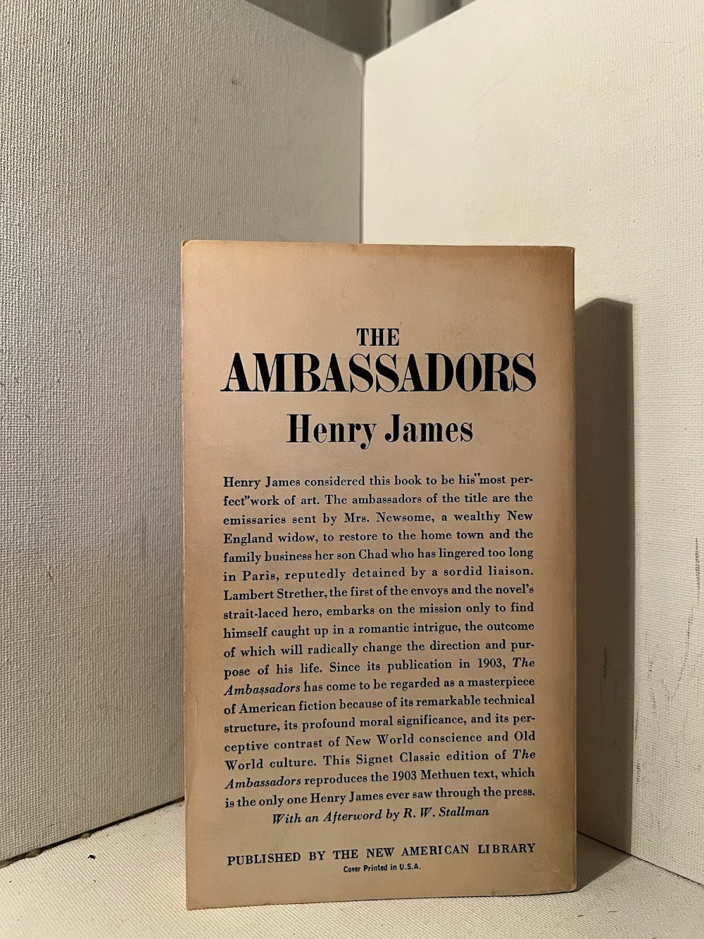 The Ambassadors by Henry James
