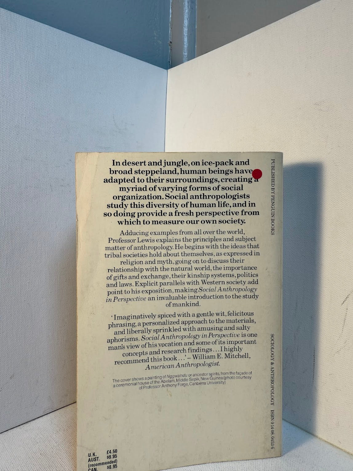 Social Anthropology in Perspective by I.M. Lewis