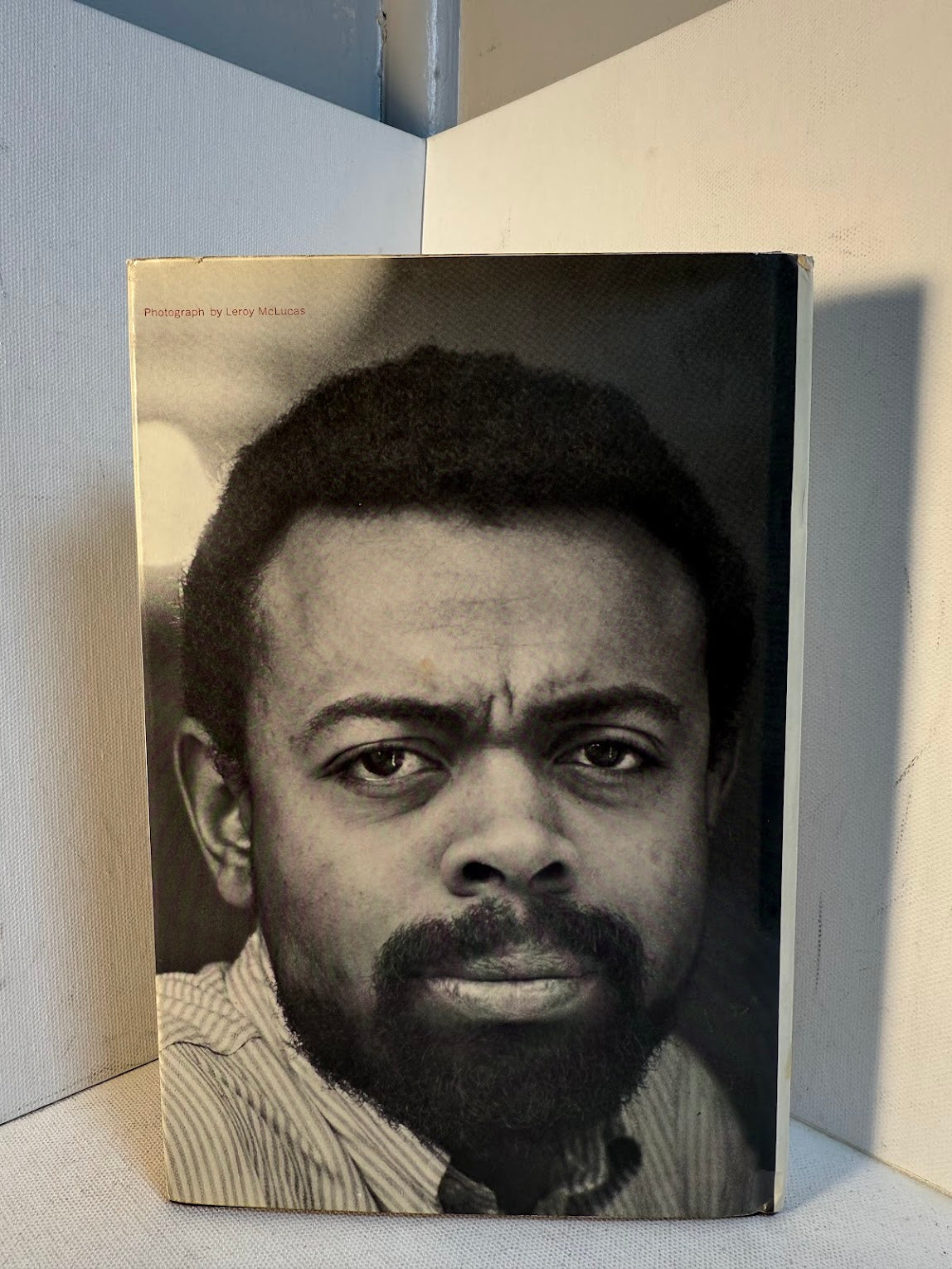 The System of Dante's Hell by LeRoi Jones