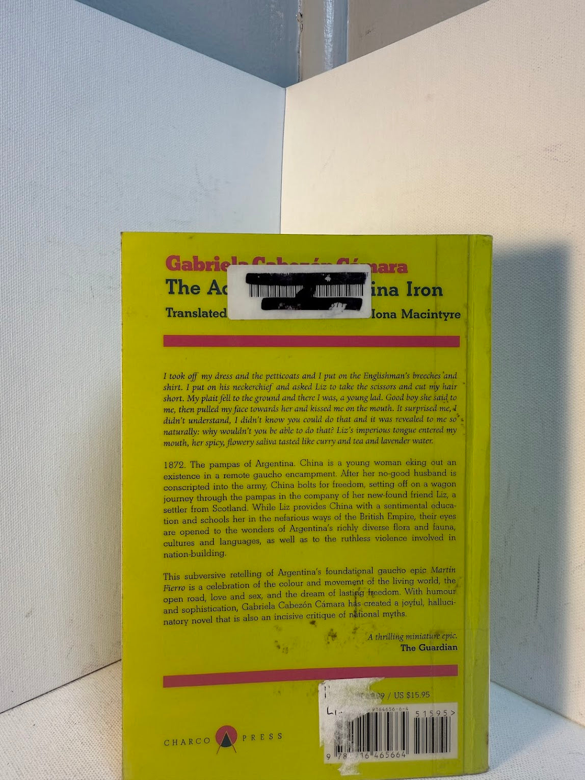 The Adventures of China Iron by Gabriela Cabezon Camara