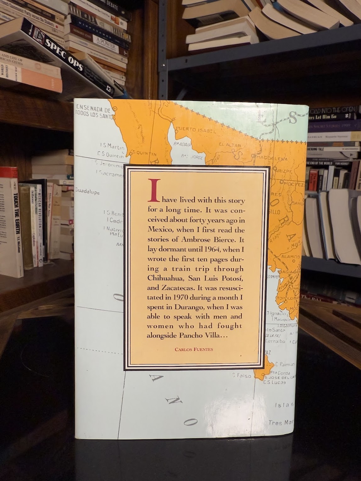 The Old Gringo by Carlos Fuentes