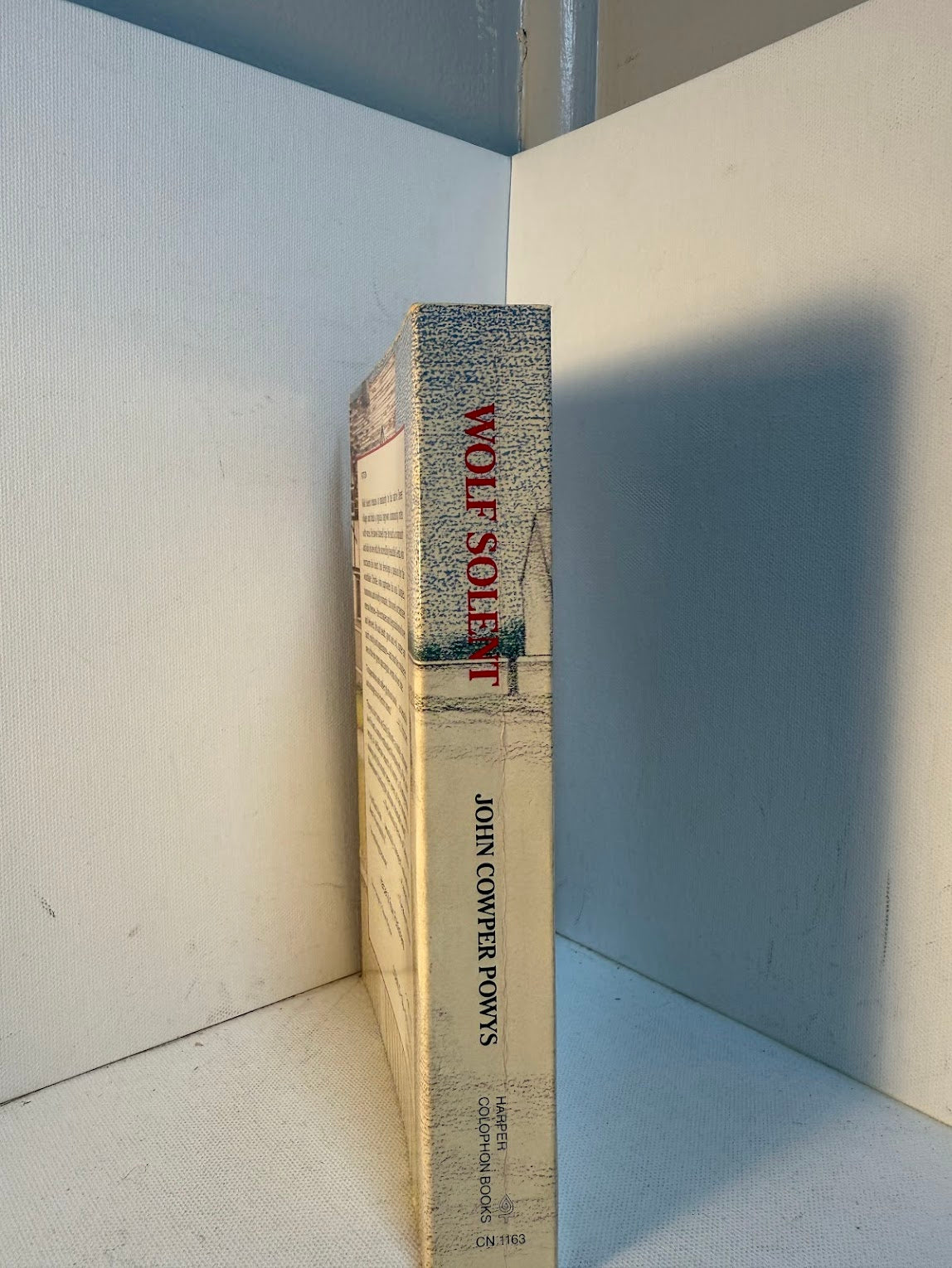 Wolf Solent by John Cowper Powys