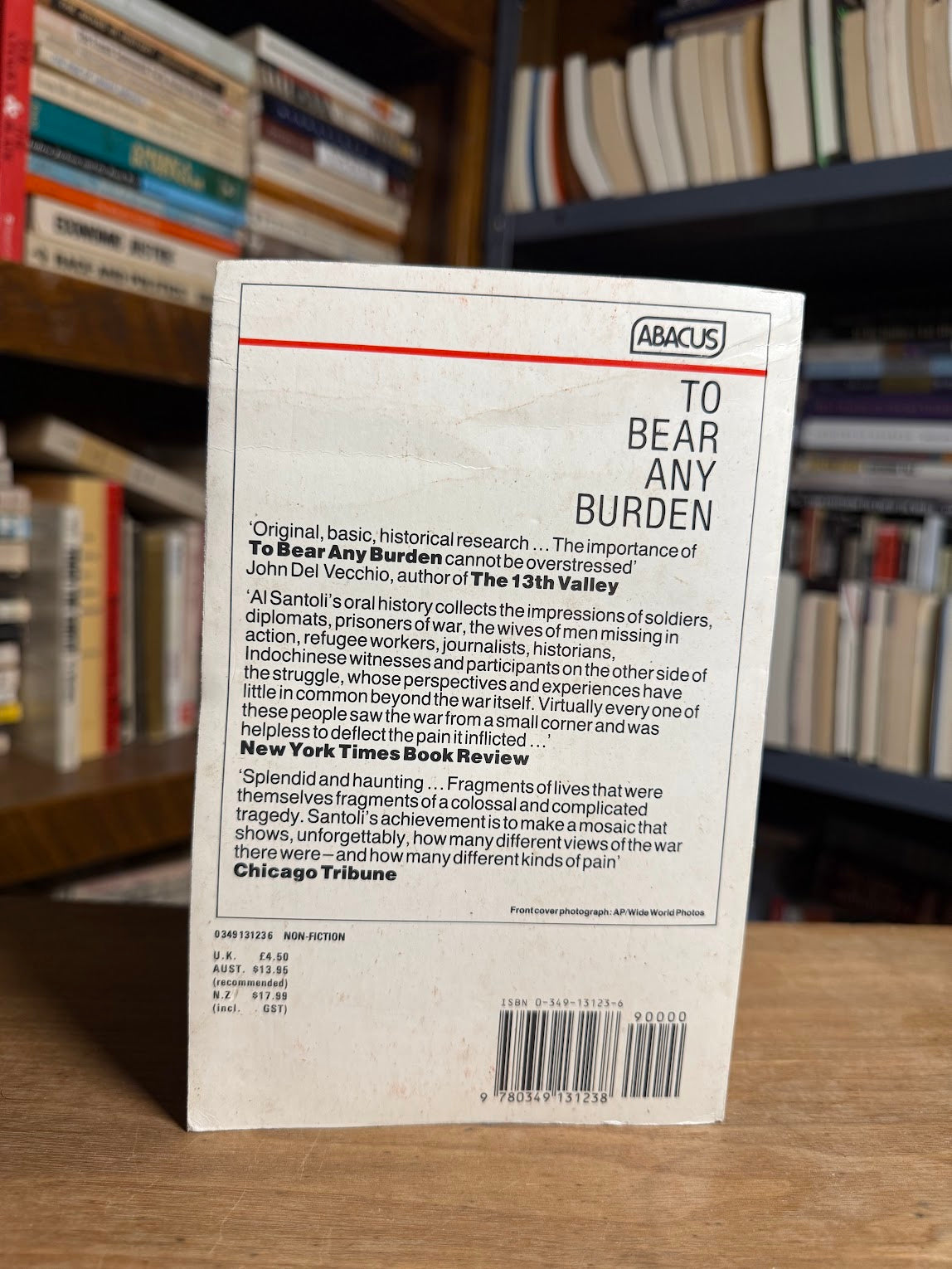 To Bear Any Burden by Al Santoli