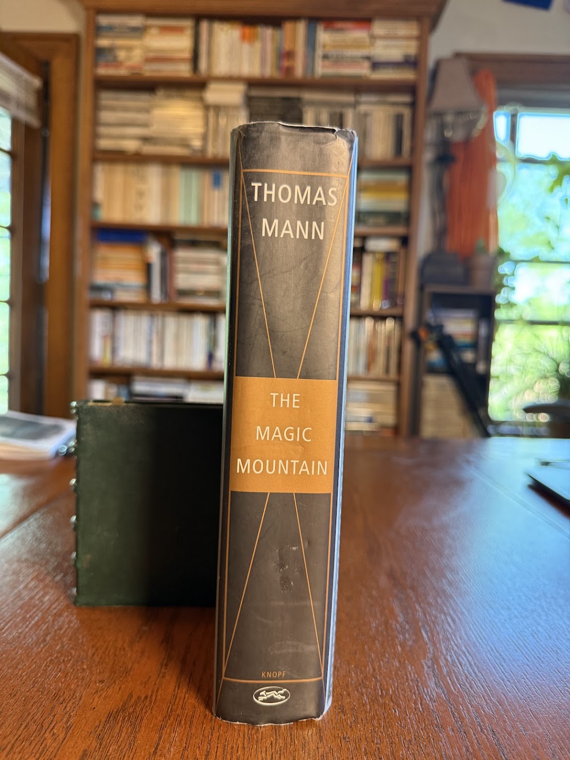 The Magic Mountain by Thomas Mann