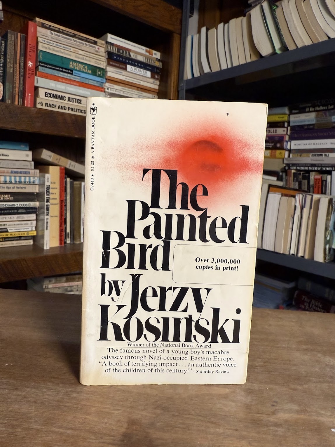 The Painted Bird by Jerzy Kosinski