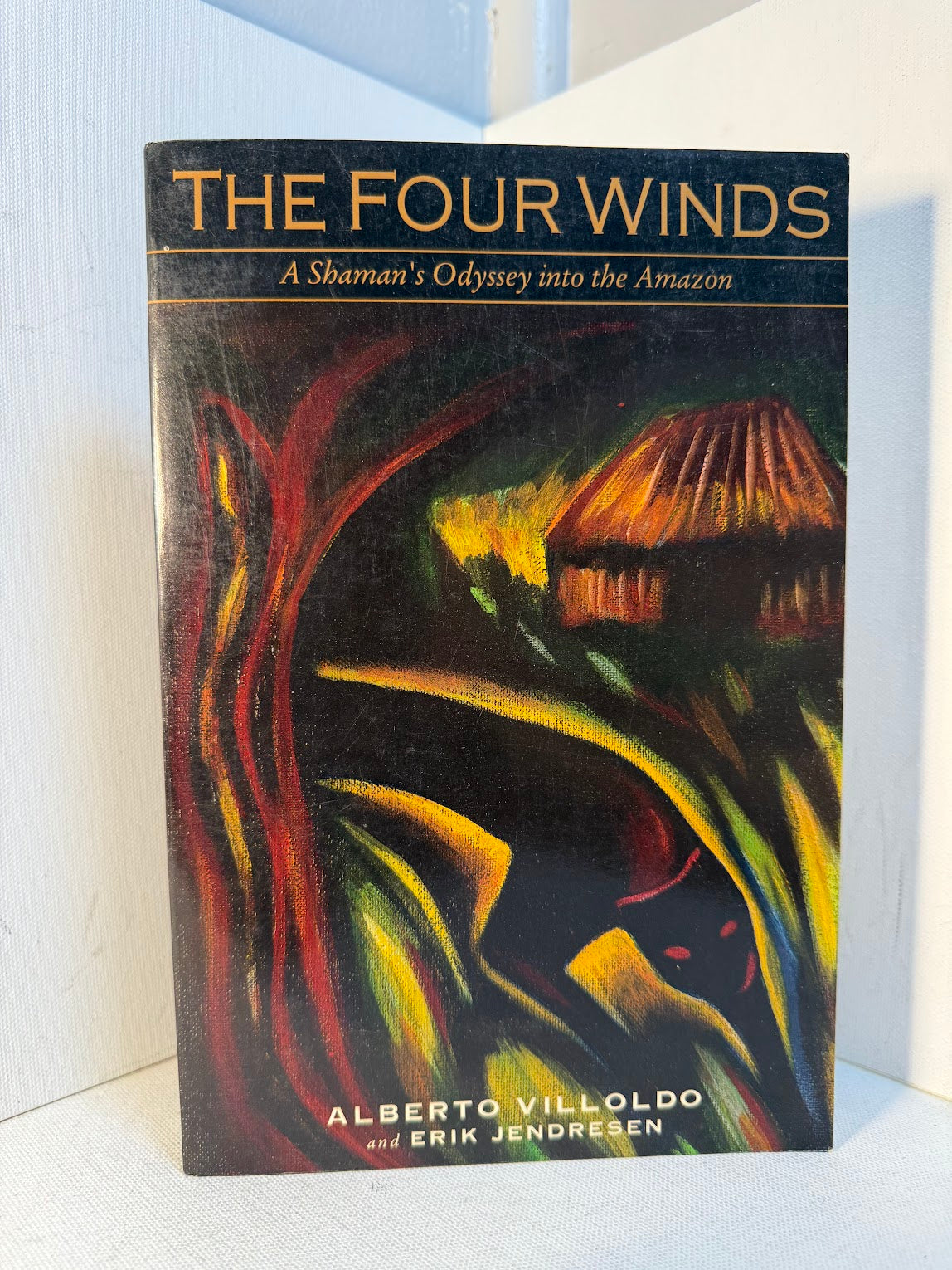 The Four Winds - A Shaman's Odyssey into the Amazon by Alberto Villoldo