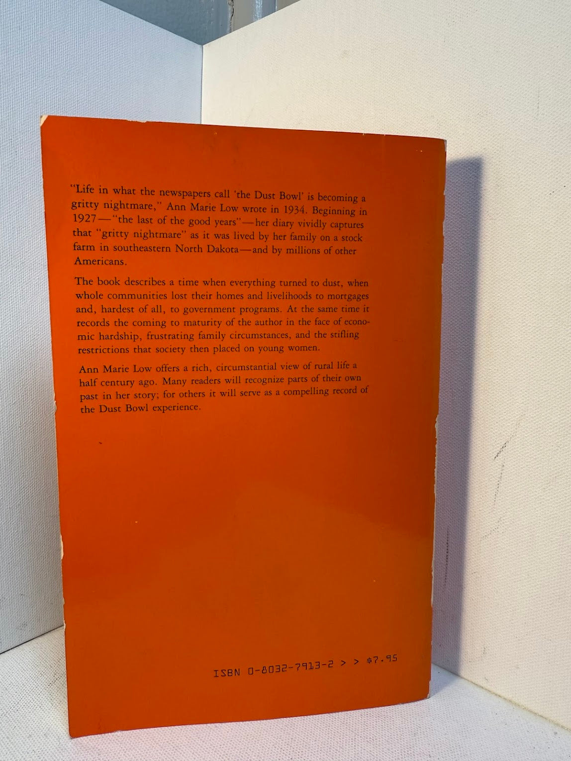 Dust Bowl Diary by Ann Marie Low