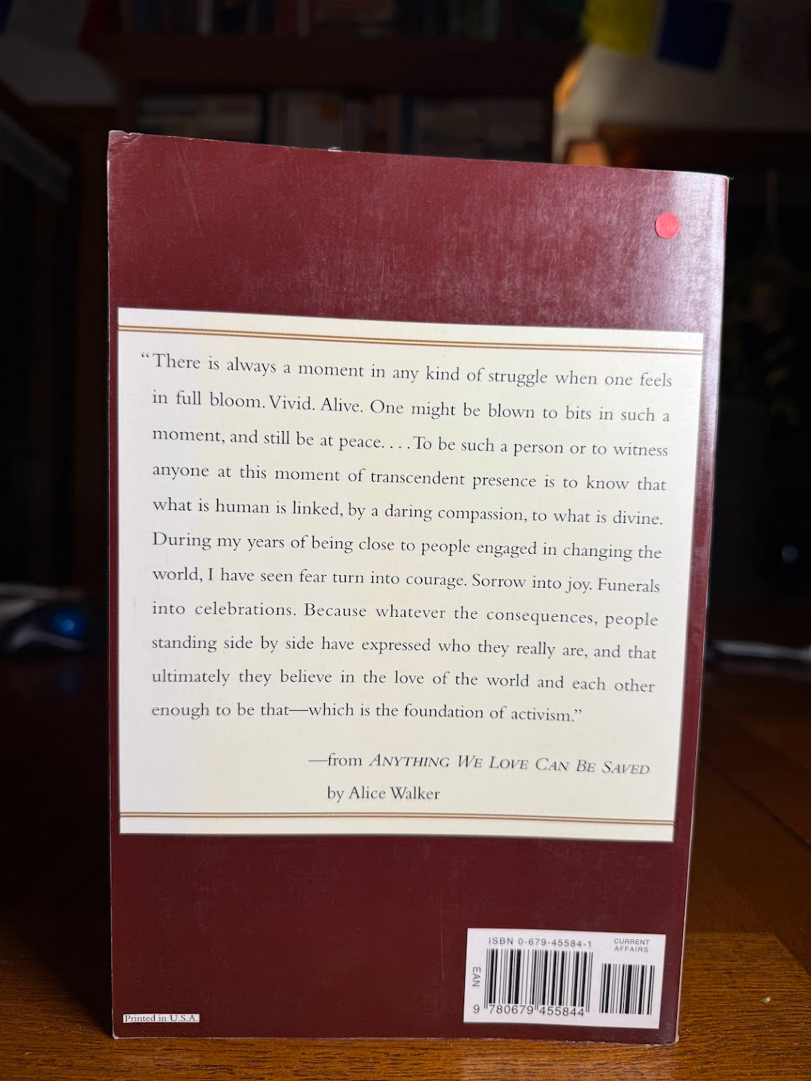 Anything We Love Can Be Saved by Alice Walker