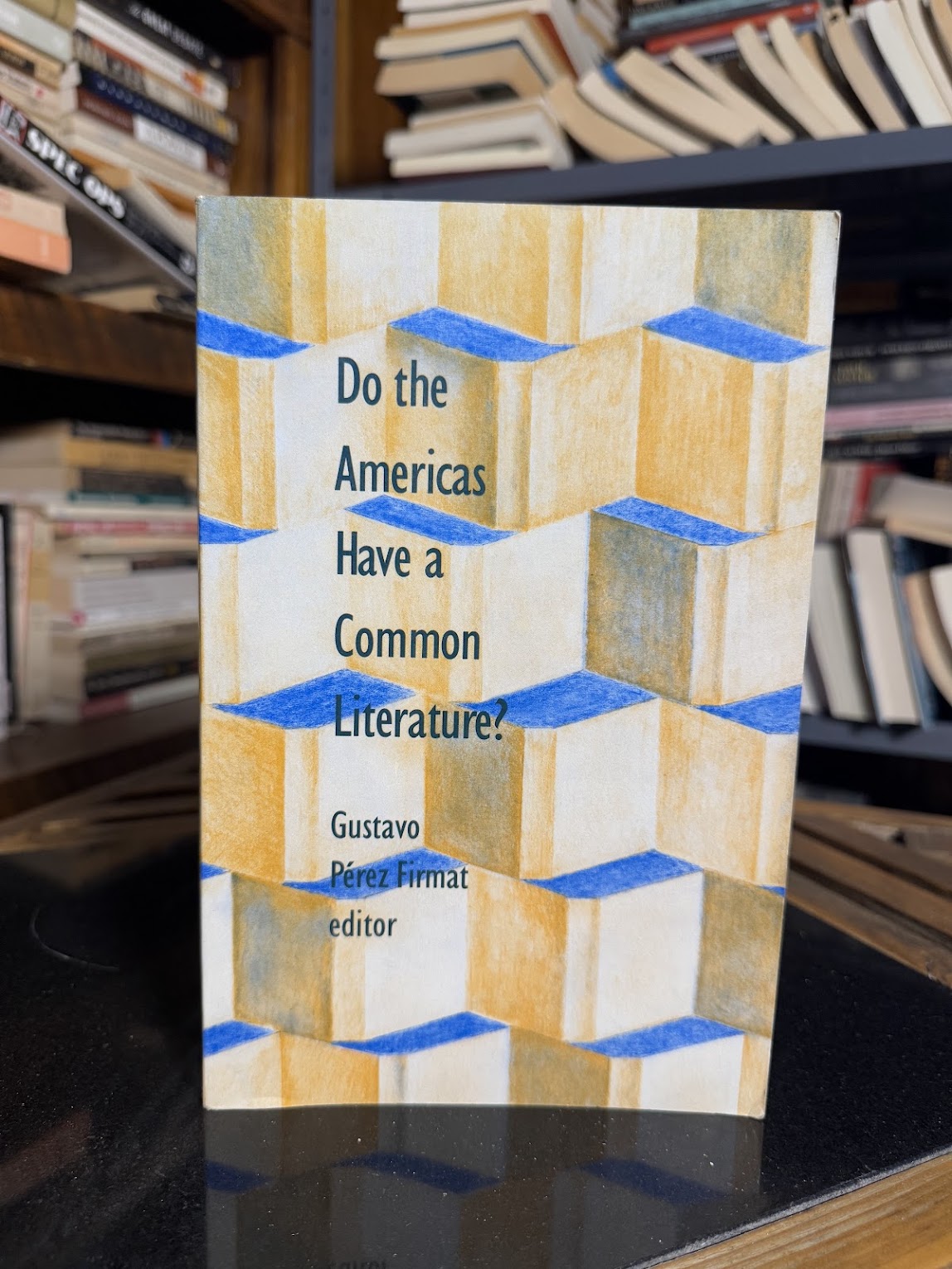 Do the Americas Have a Common Literature? edited by Gustavo Perez Firmat