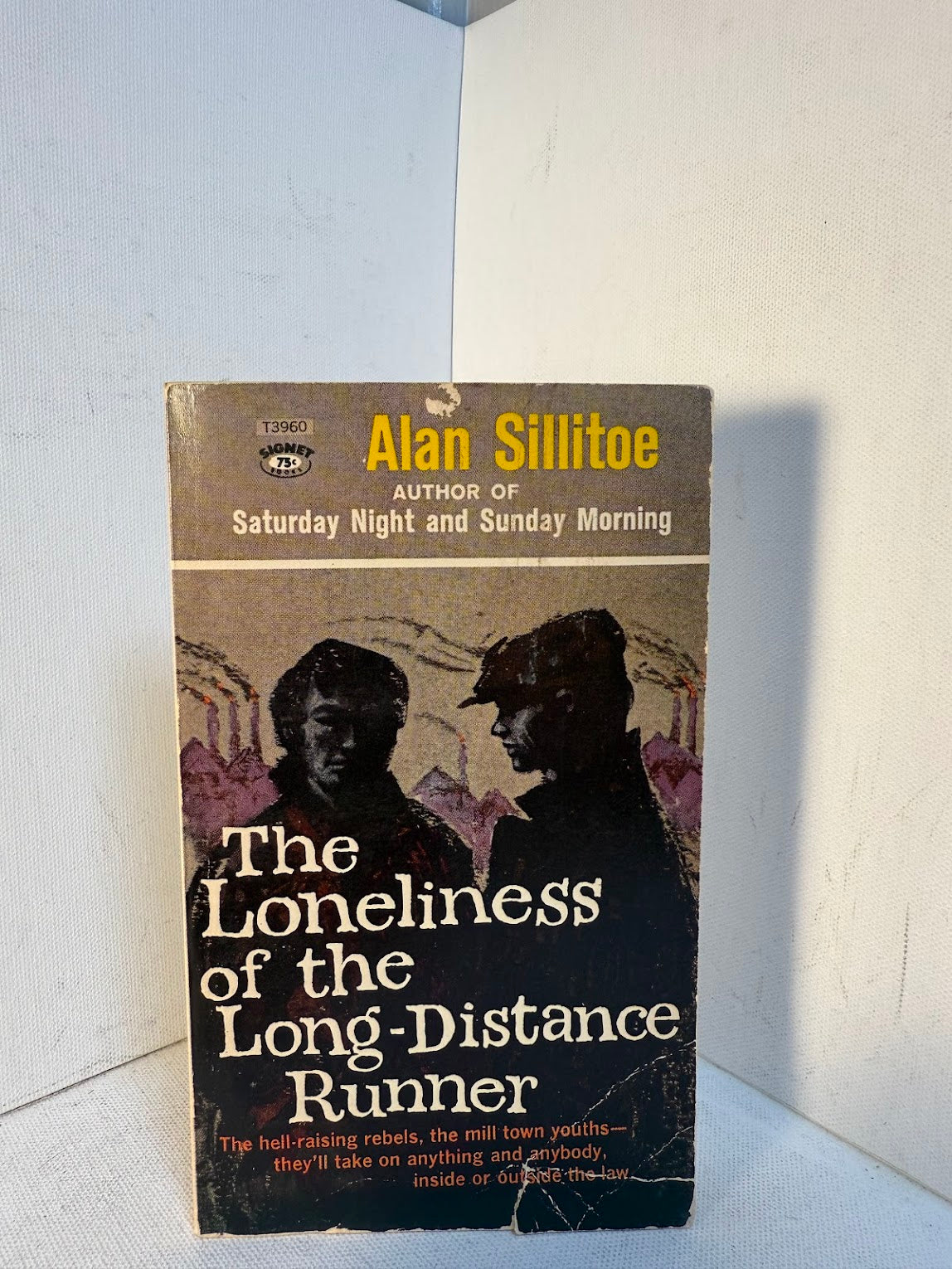 The Loneliness of the Long Distance Runner by Alan Sillitoe