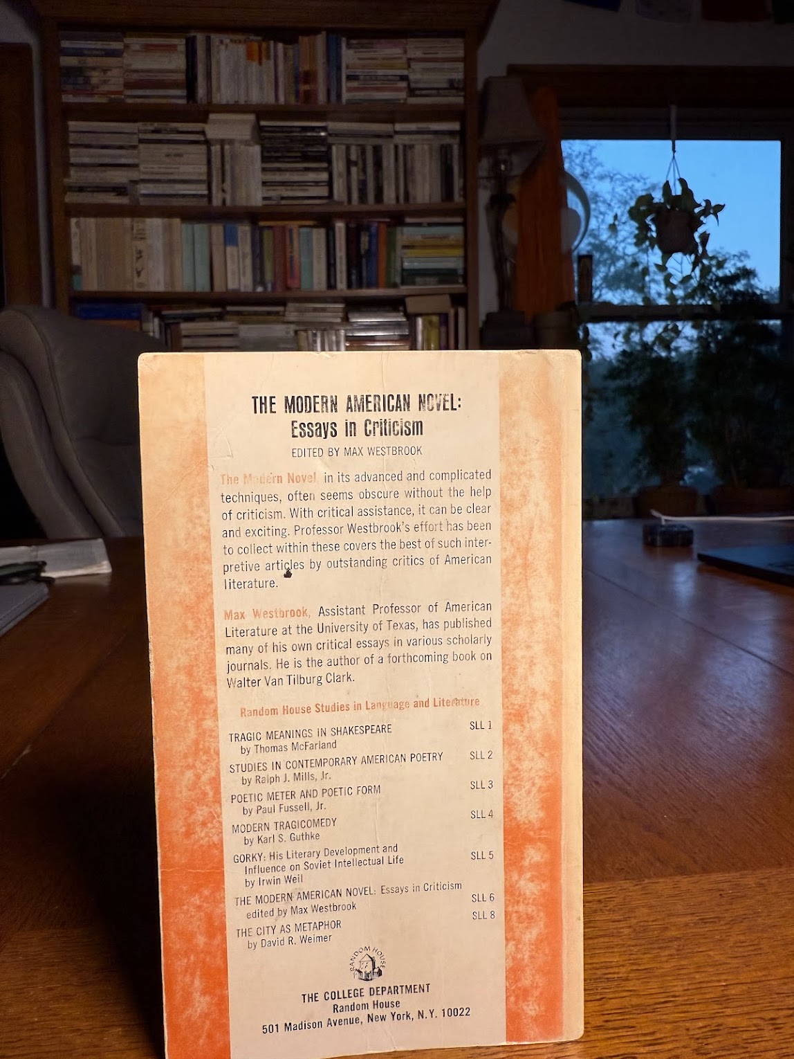 The Modern American Novel: Essays in Criticism by Max Westbrook