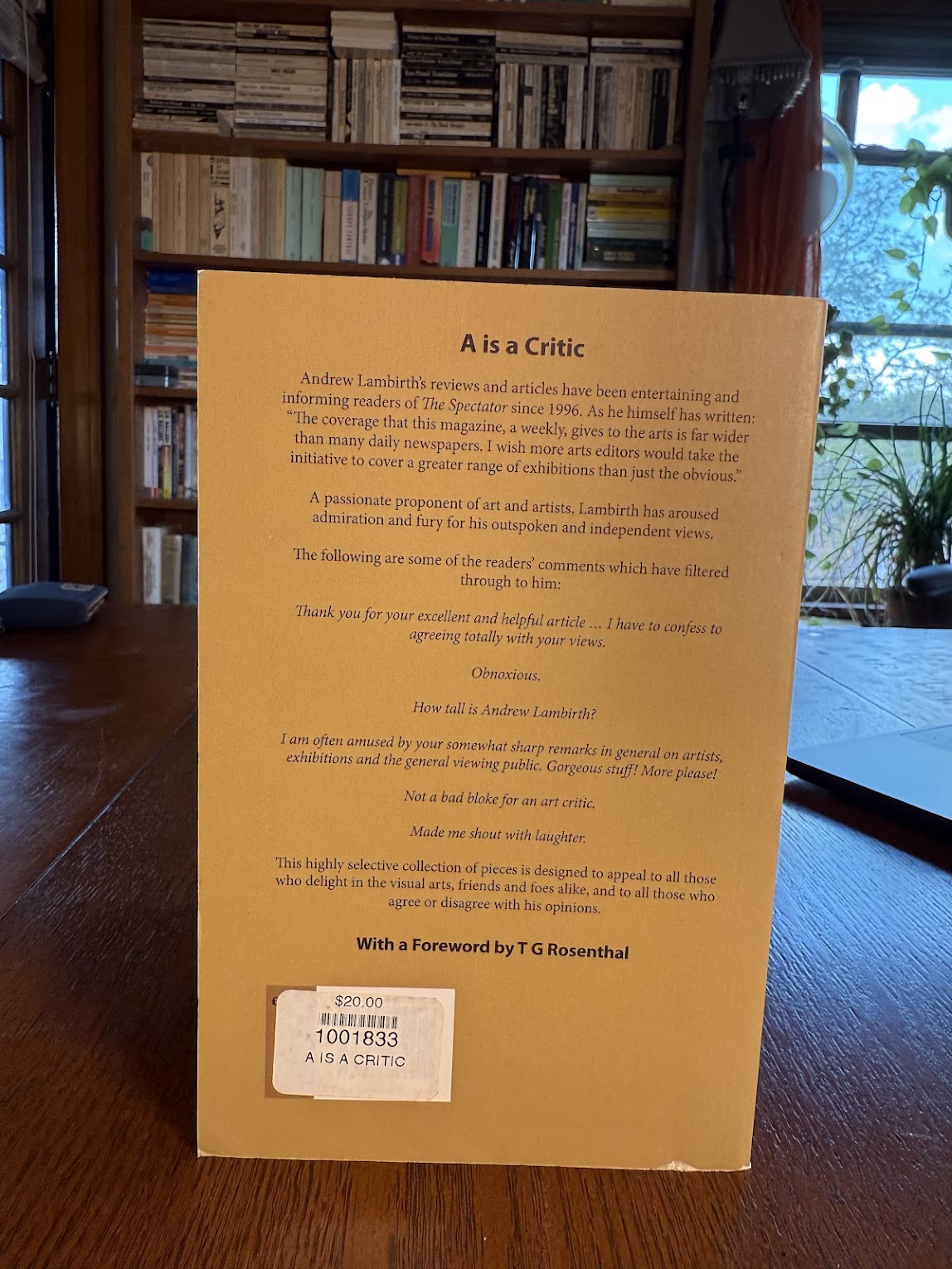 A is a Critic by Andrew Lambirth