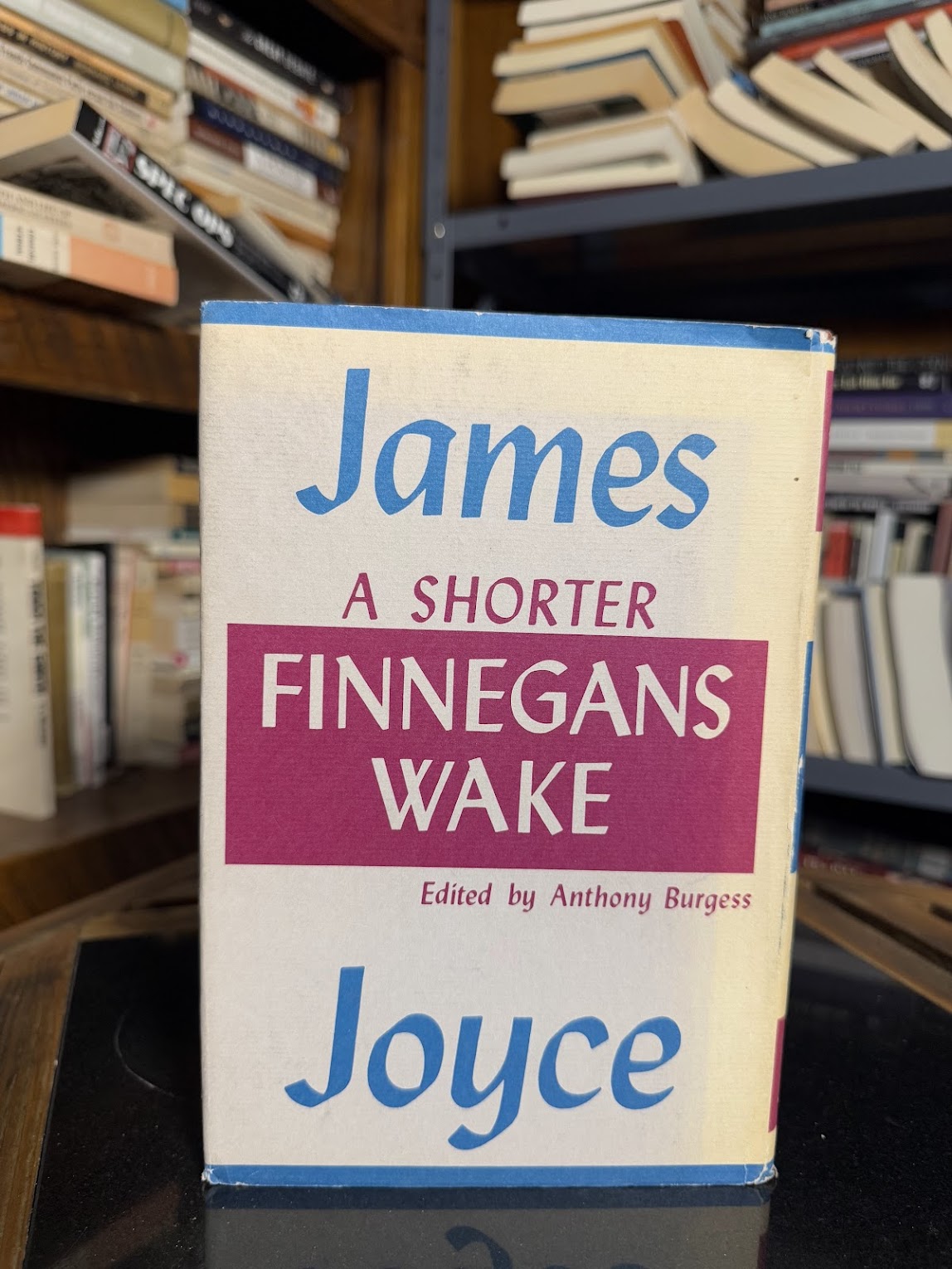 A Shorter Finnegans Wake by James Joyce