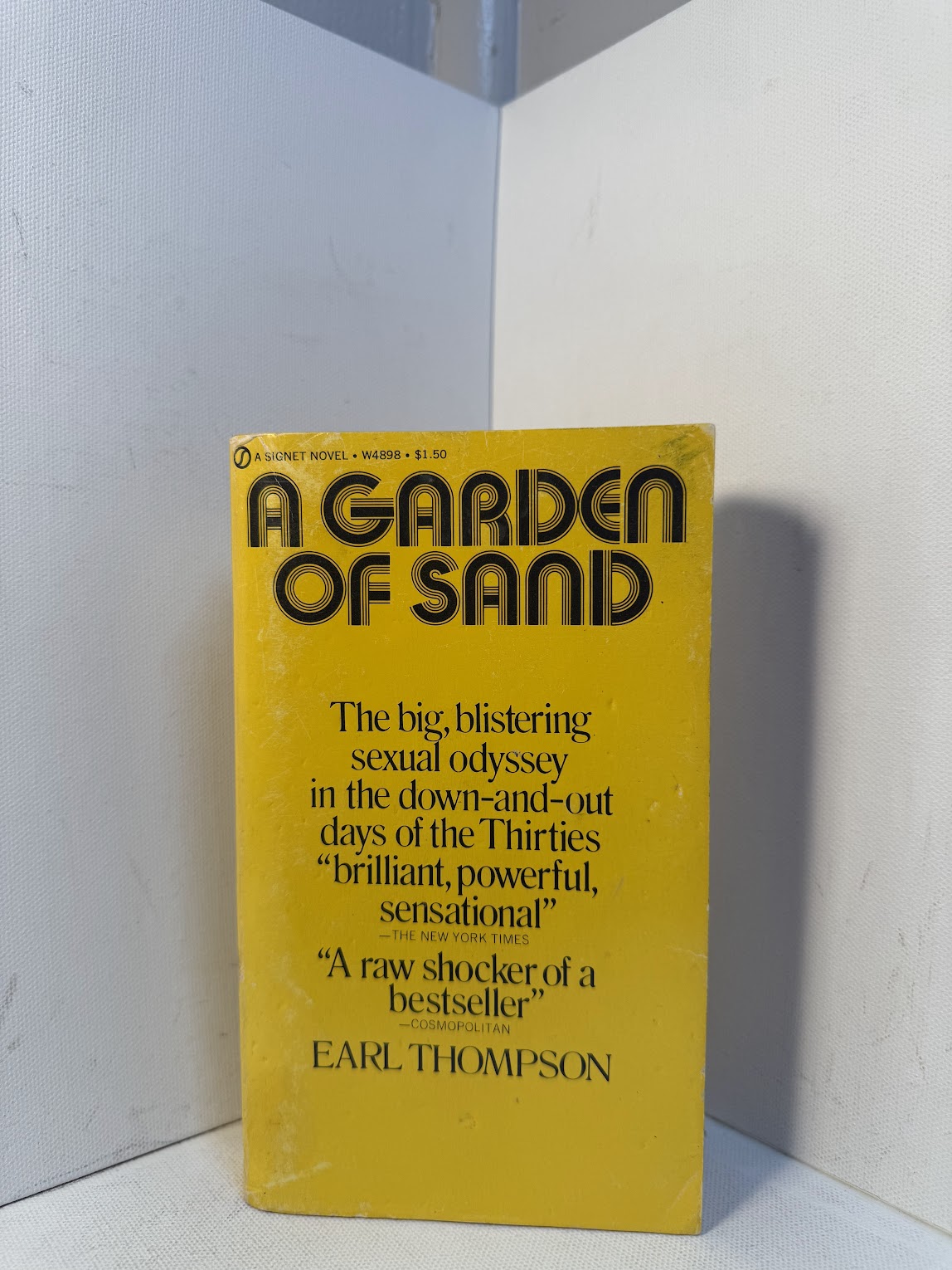 A Garden of Sand by Earl Thompson