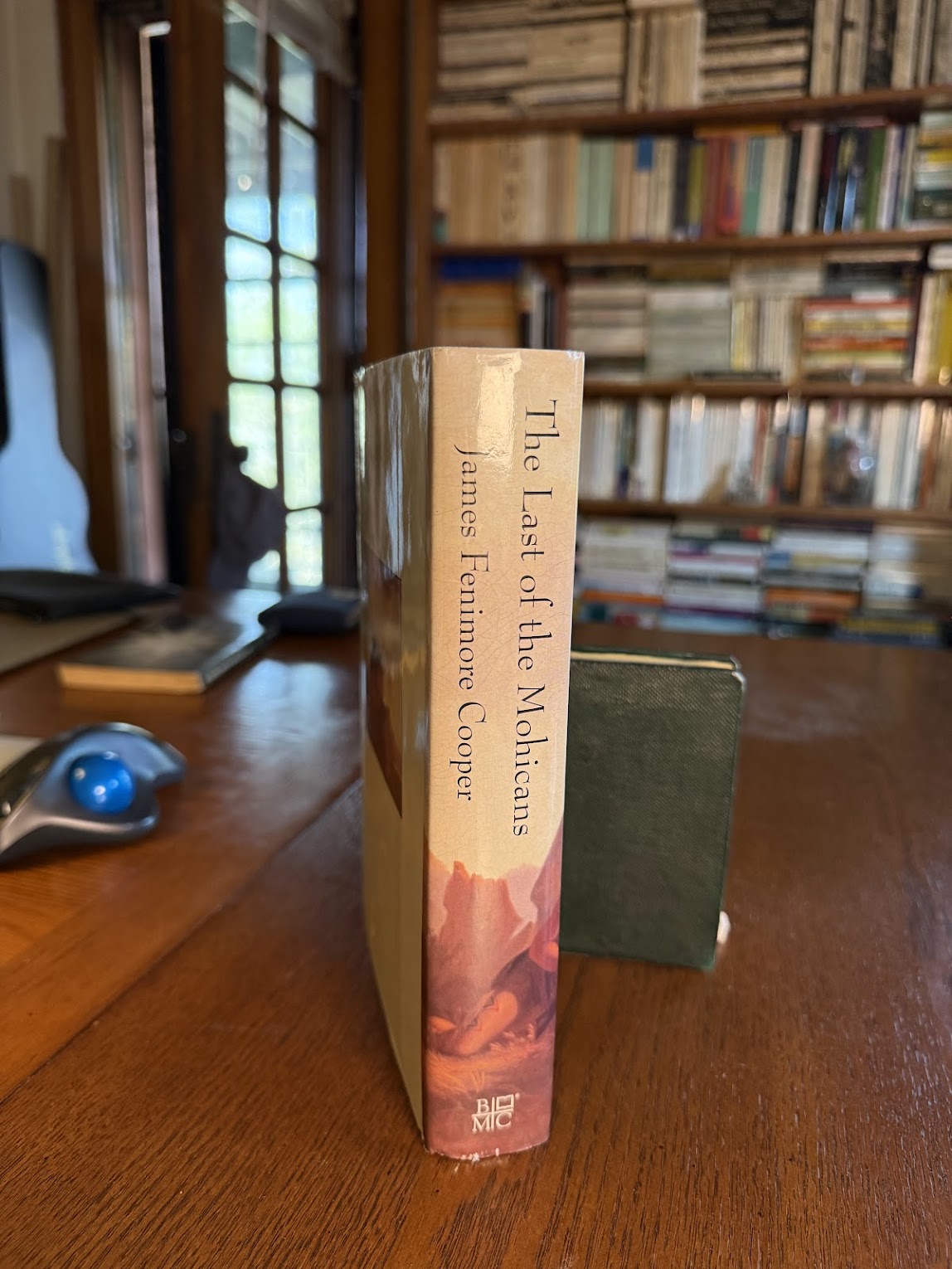 The Last of the Mohicans by James Fenimore Cooper