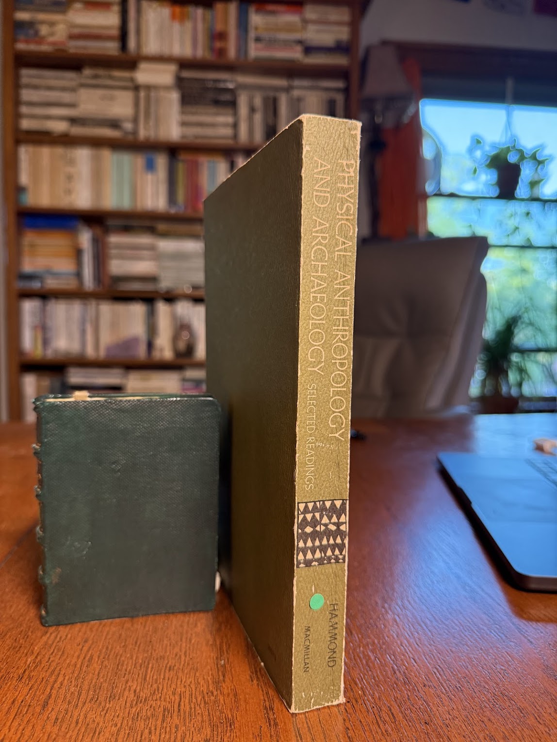 Physical Anthropology and Archaeology - Selected Readings edited by Peter B. Hammond