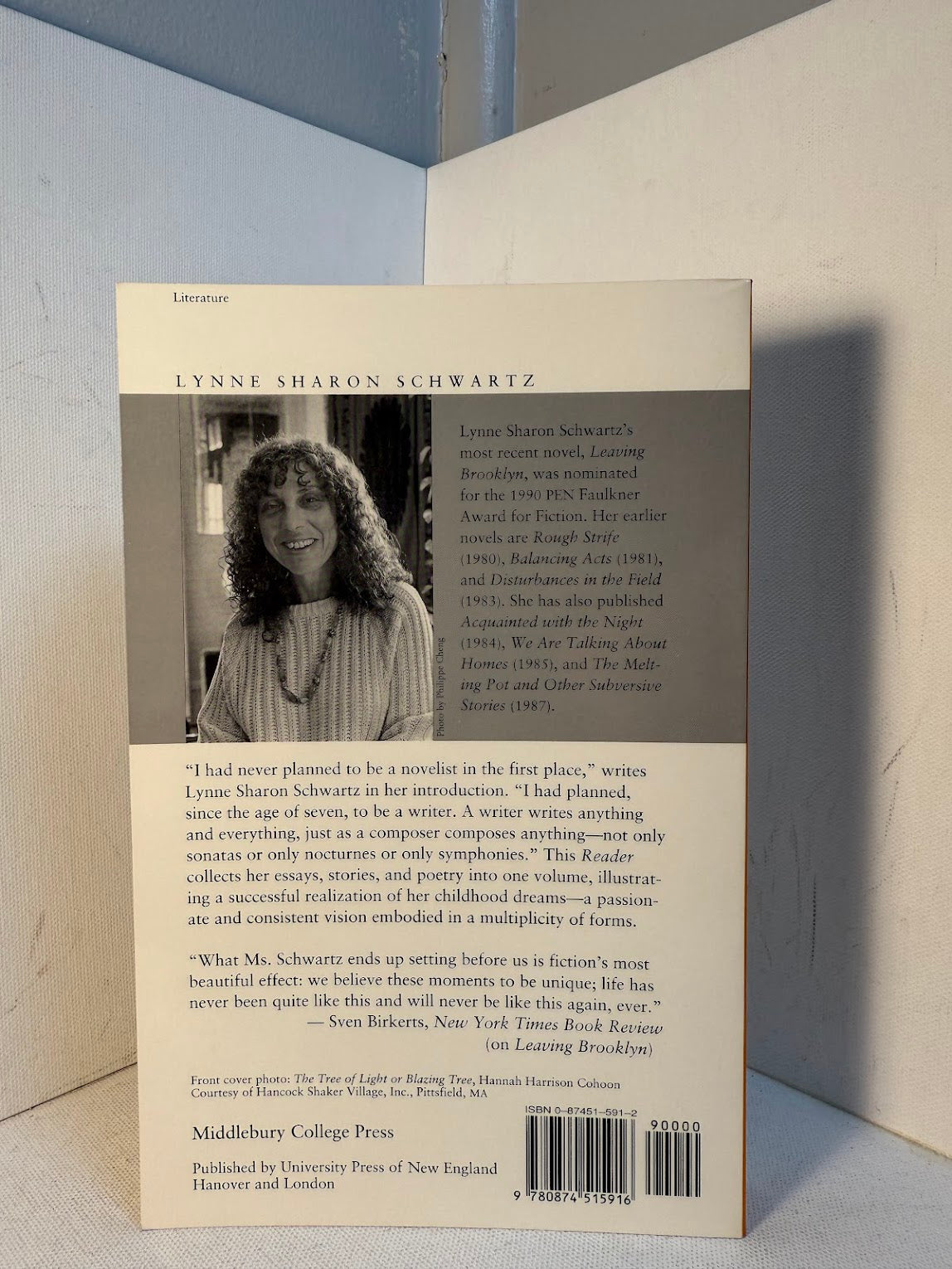 A Lynne Sharon Schwartz Reader