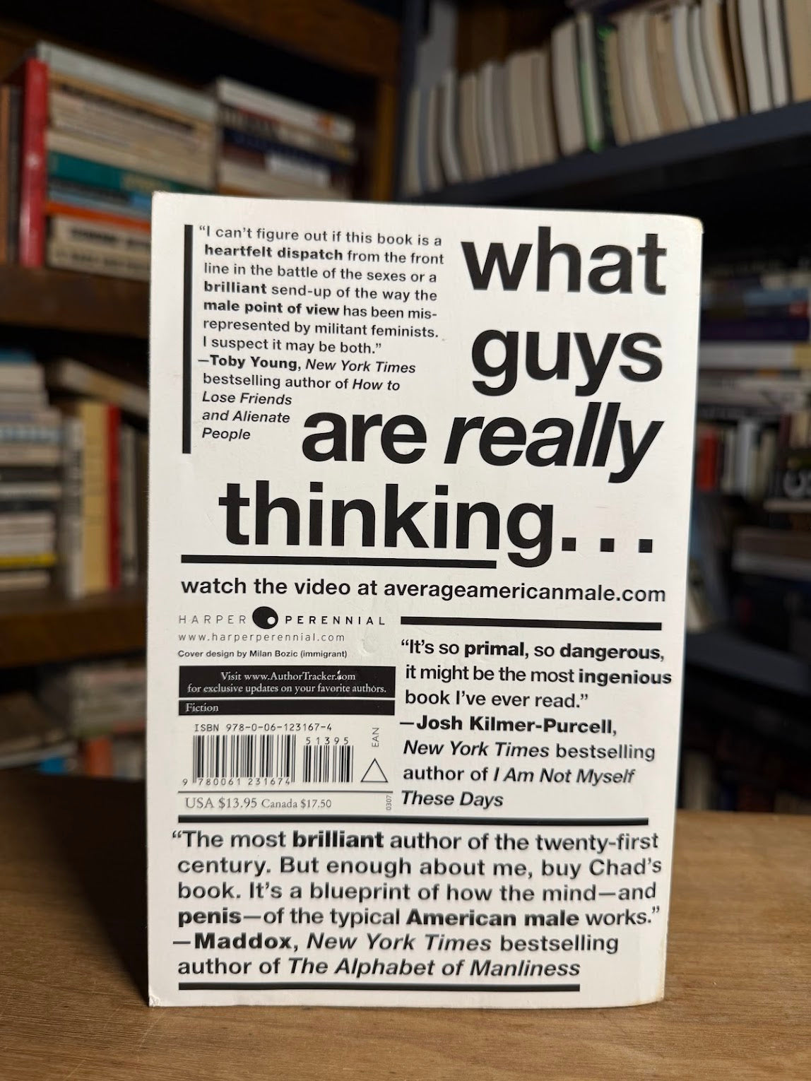 The Average American Male by Chad Kultgen