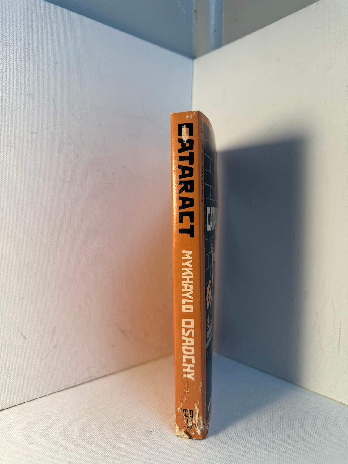 Cataract by Mykhaylo Osadchy